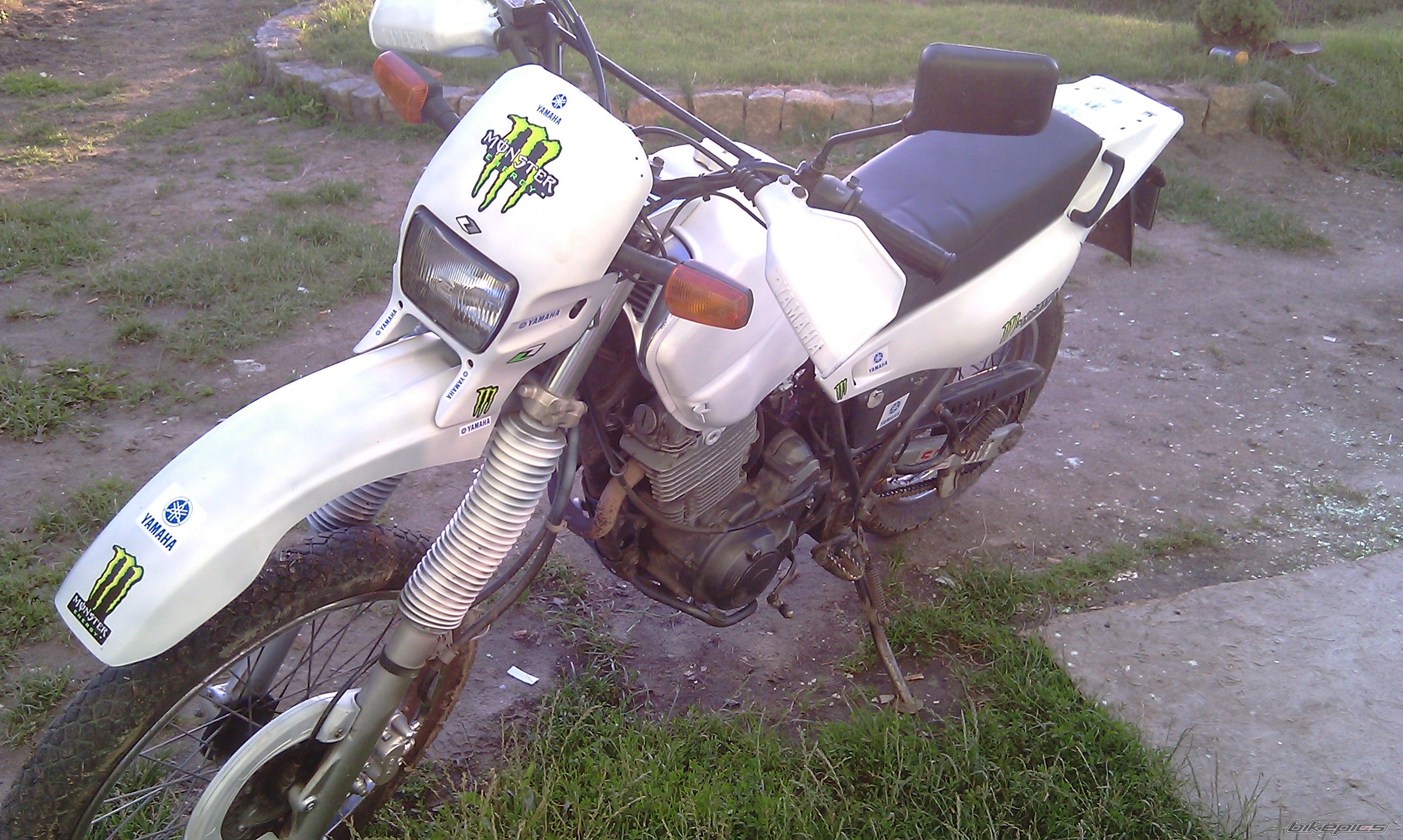 Photo 2256411