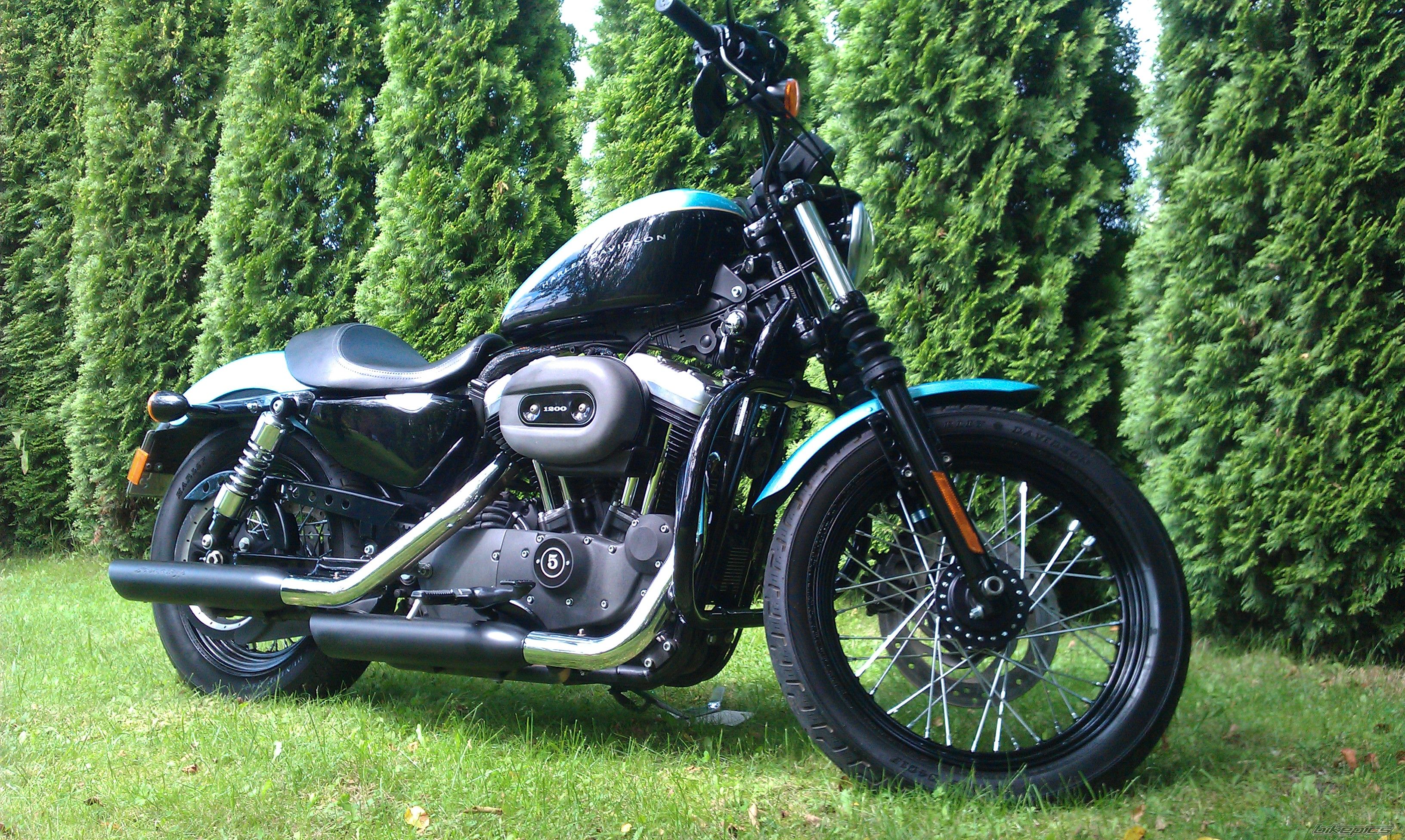 Photo 2256432