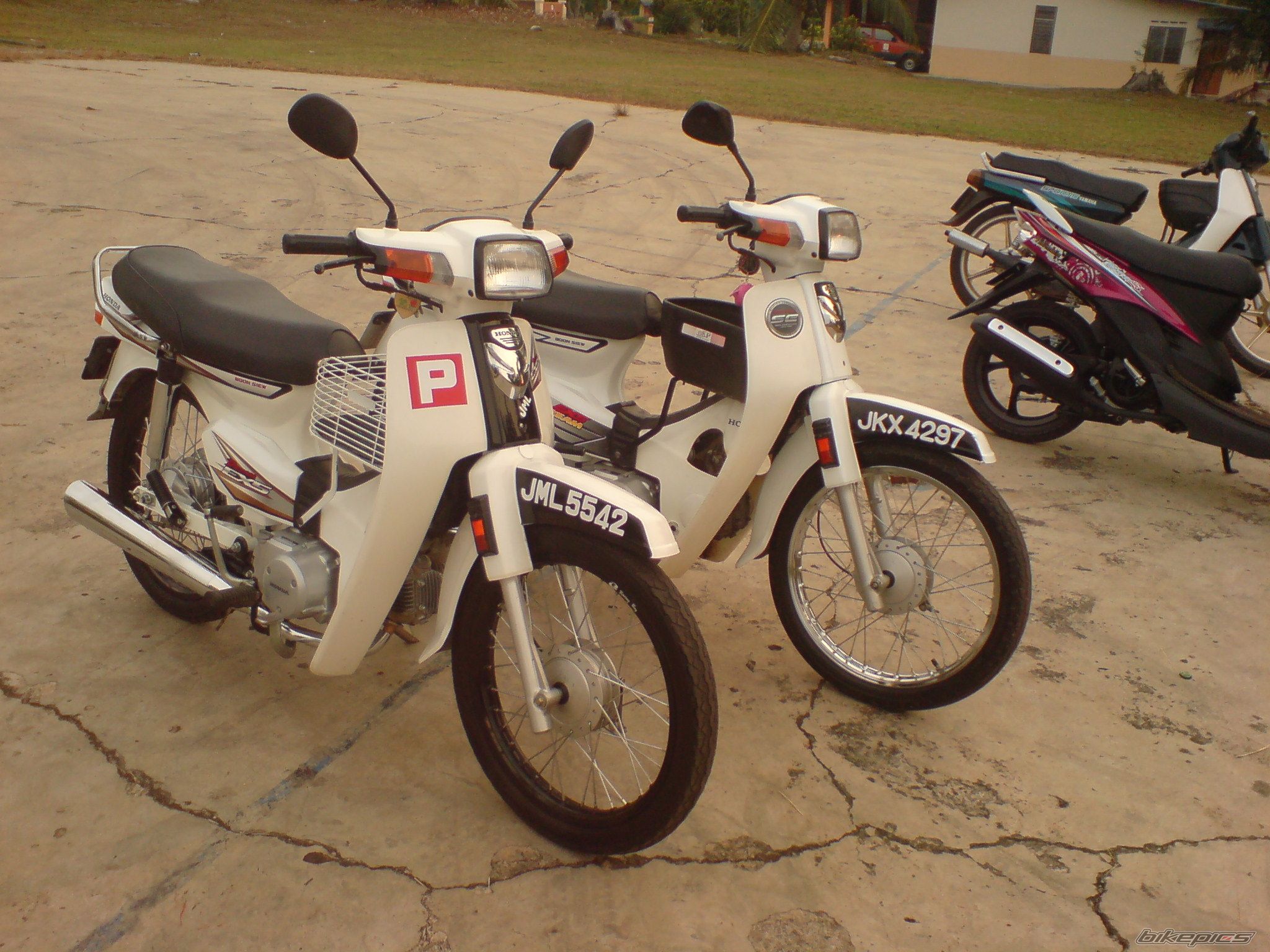 Photo 2256463