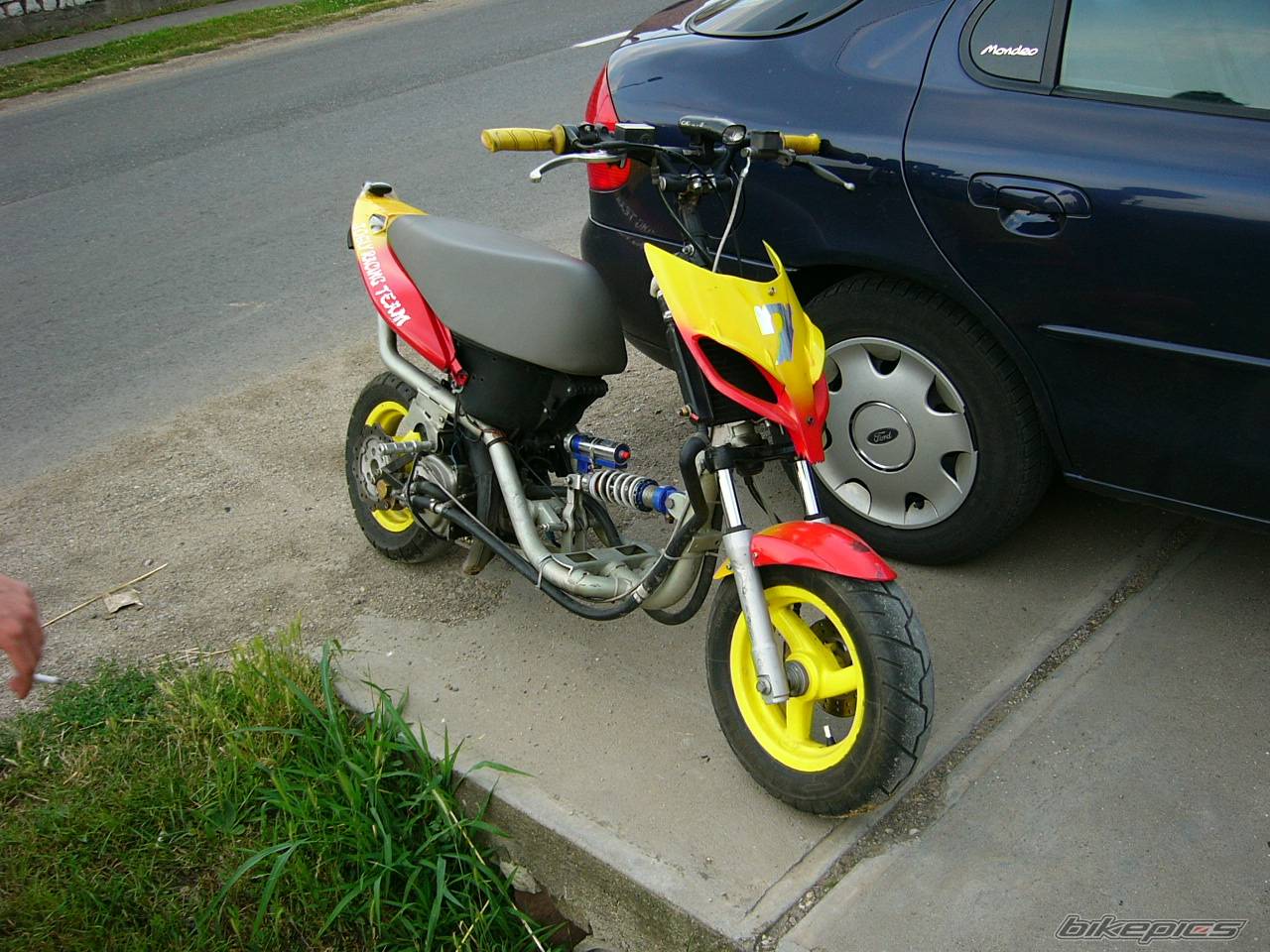 Photo 225649