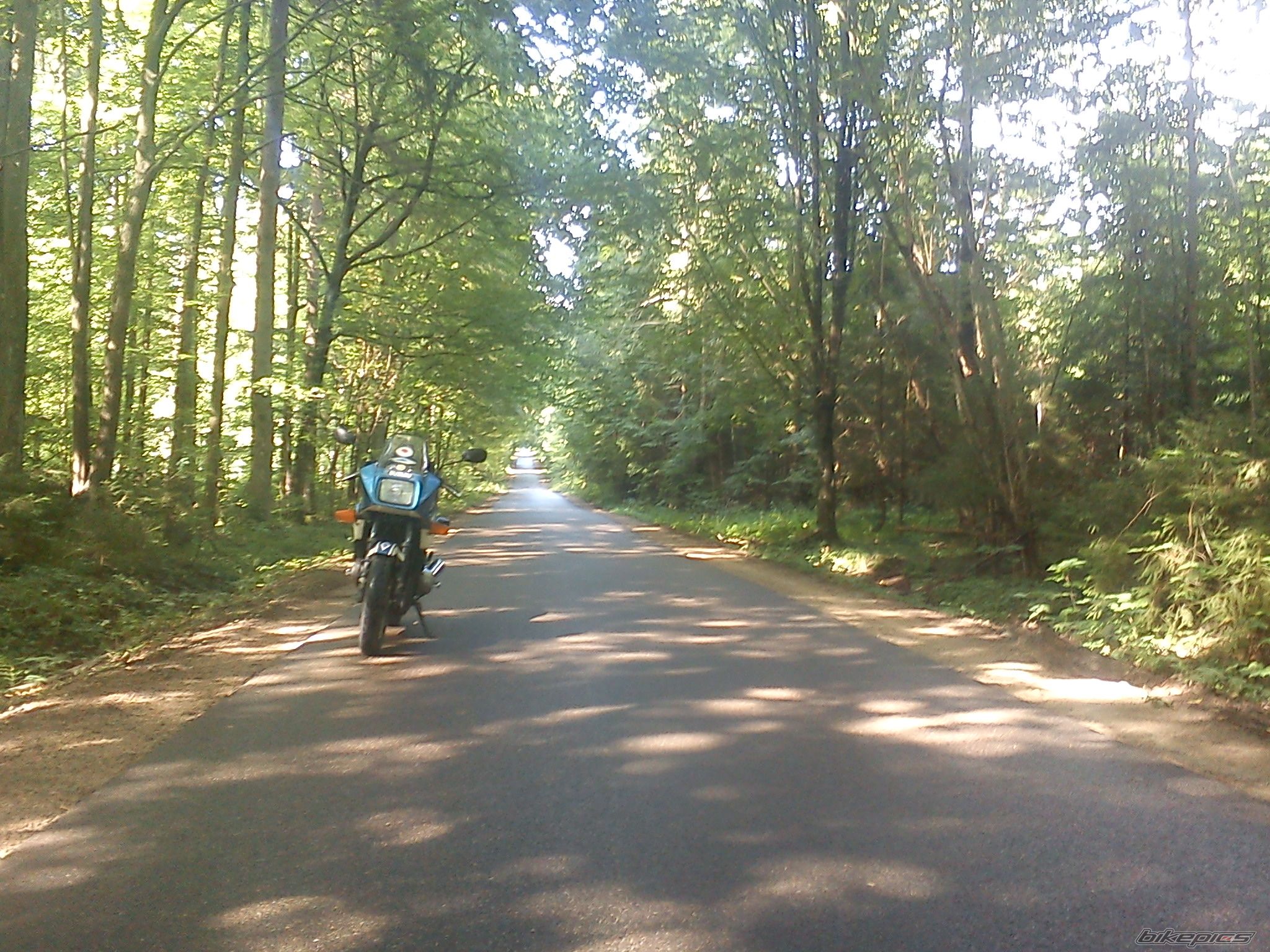 Photo 2256491