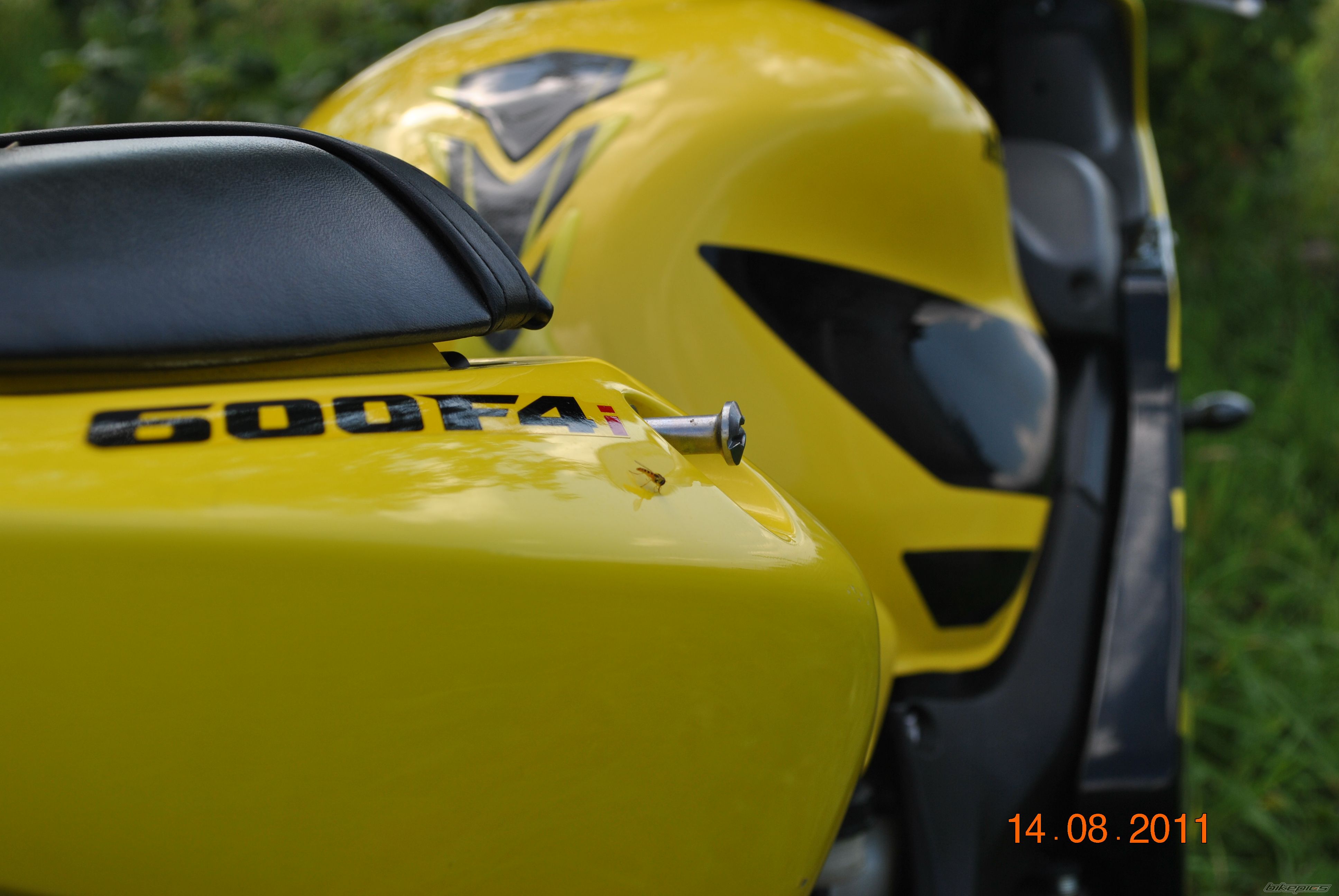 Photo 2256498