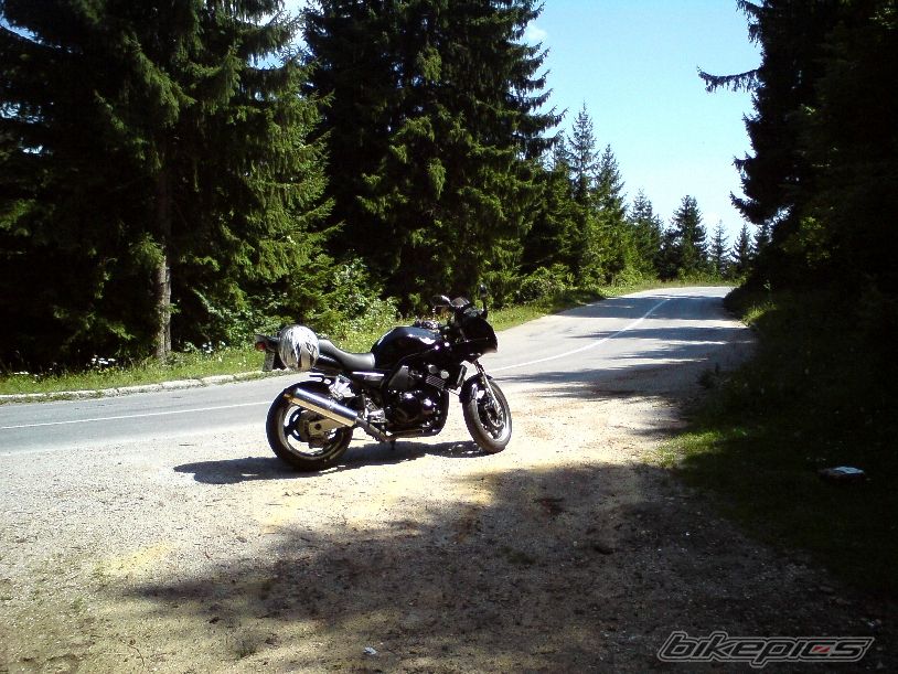 Photo 2256508