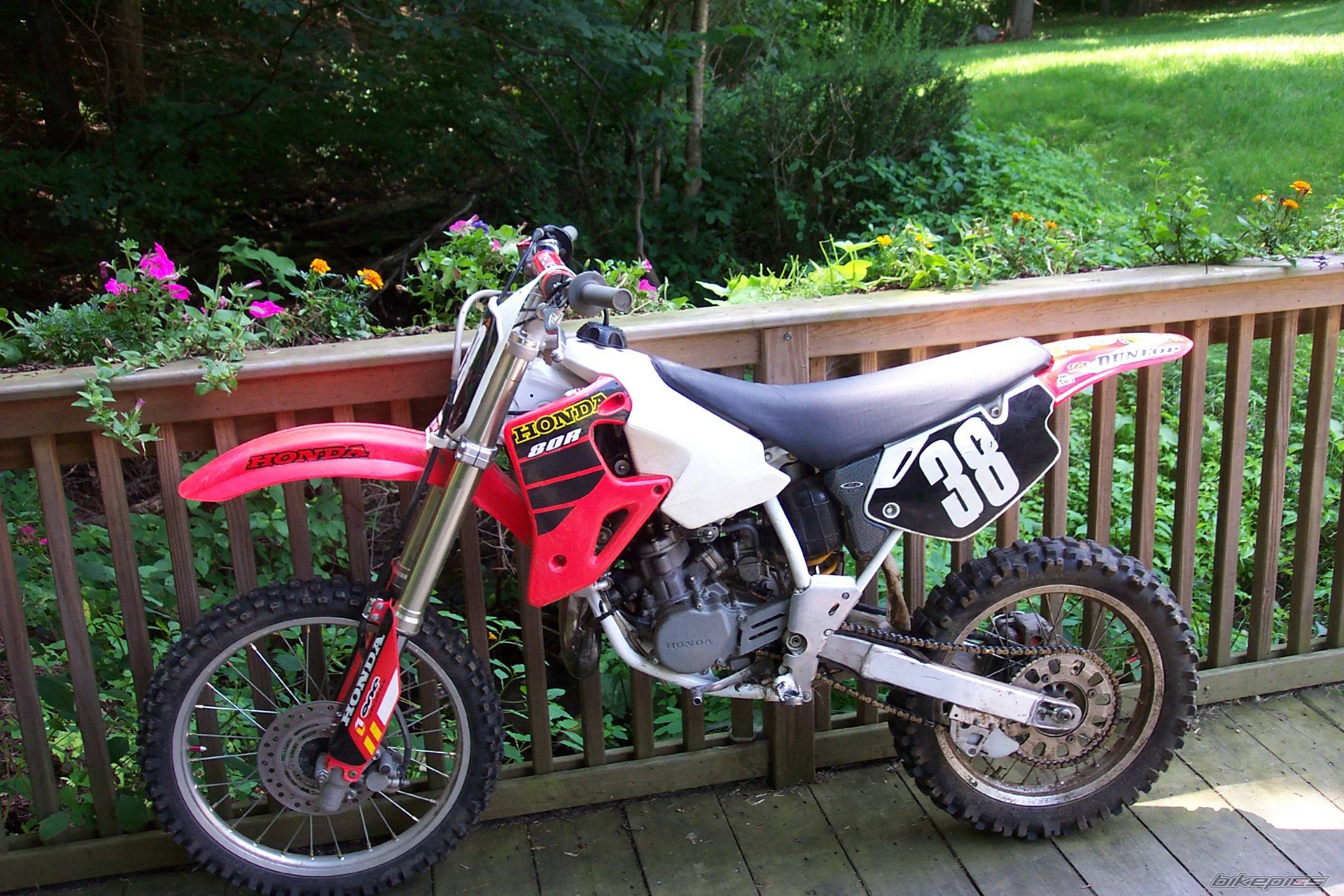 Photo 225655