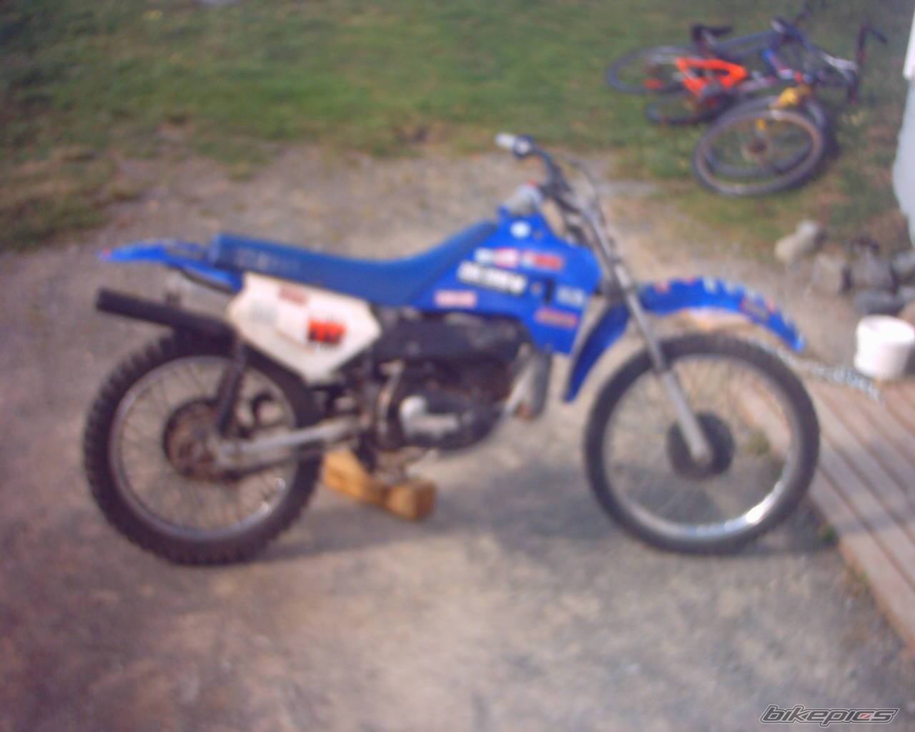 Photo 225657