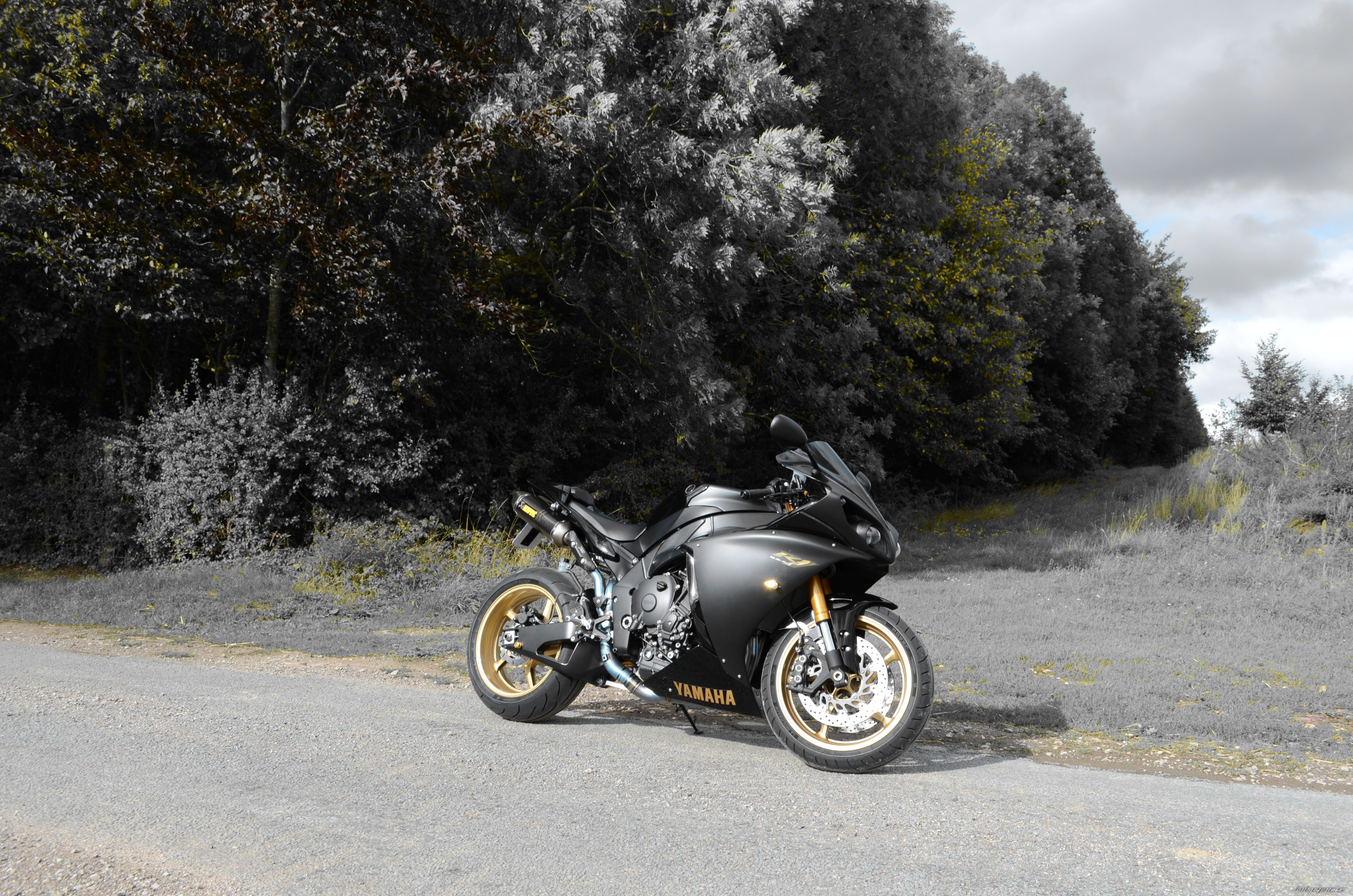 Photo 2256599