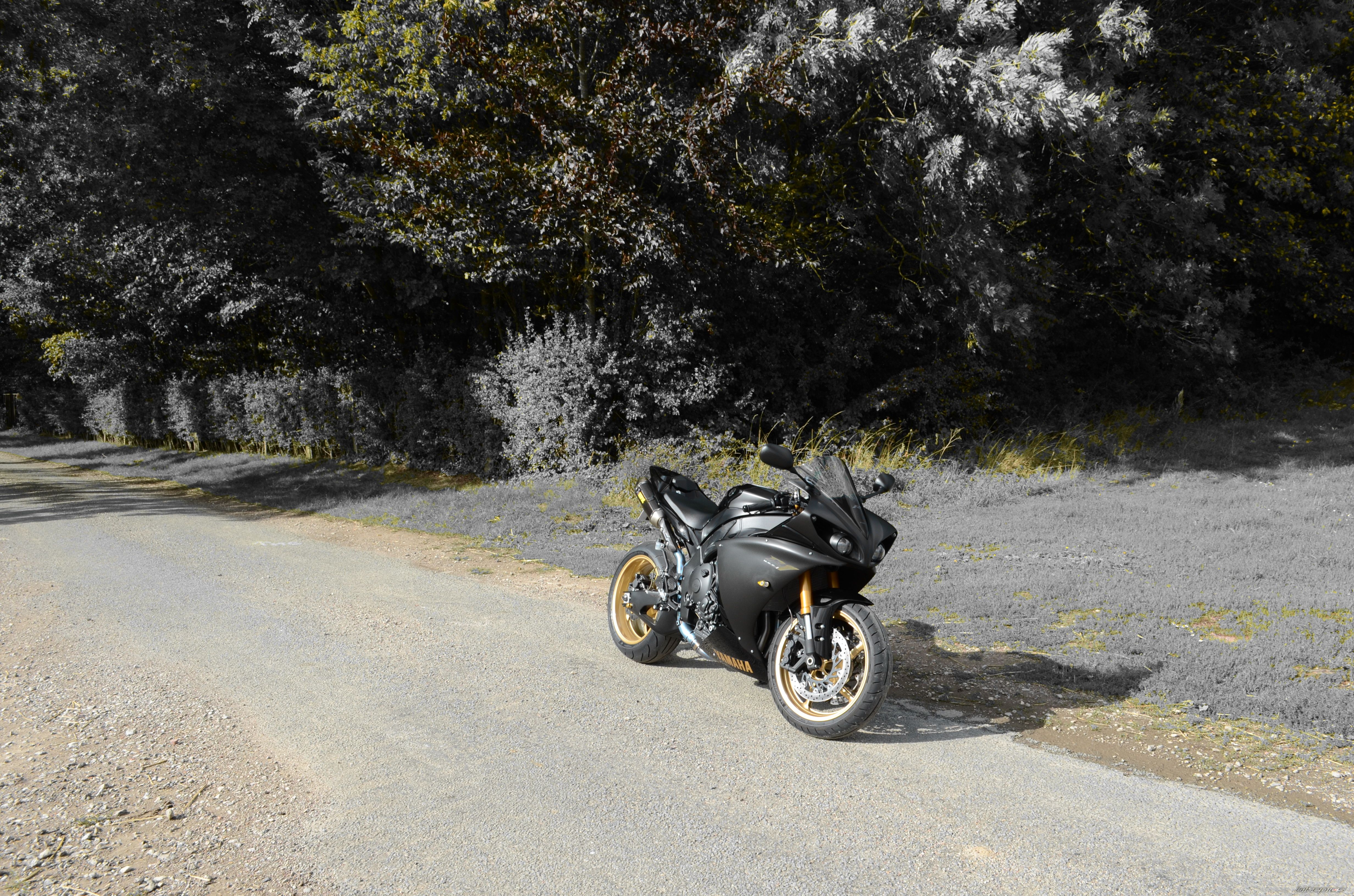 Bike Photo 2256603