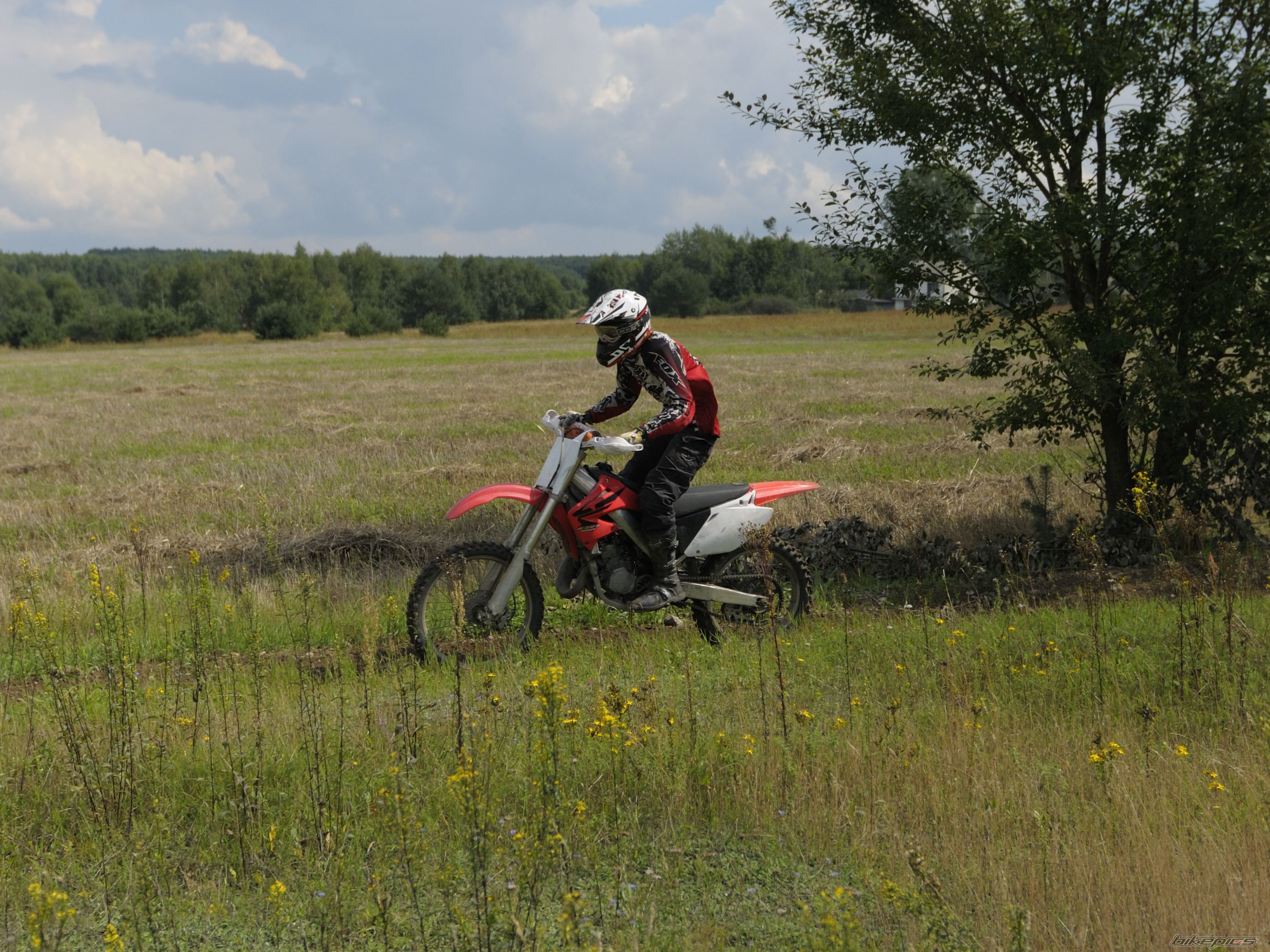 Photo 2256736