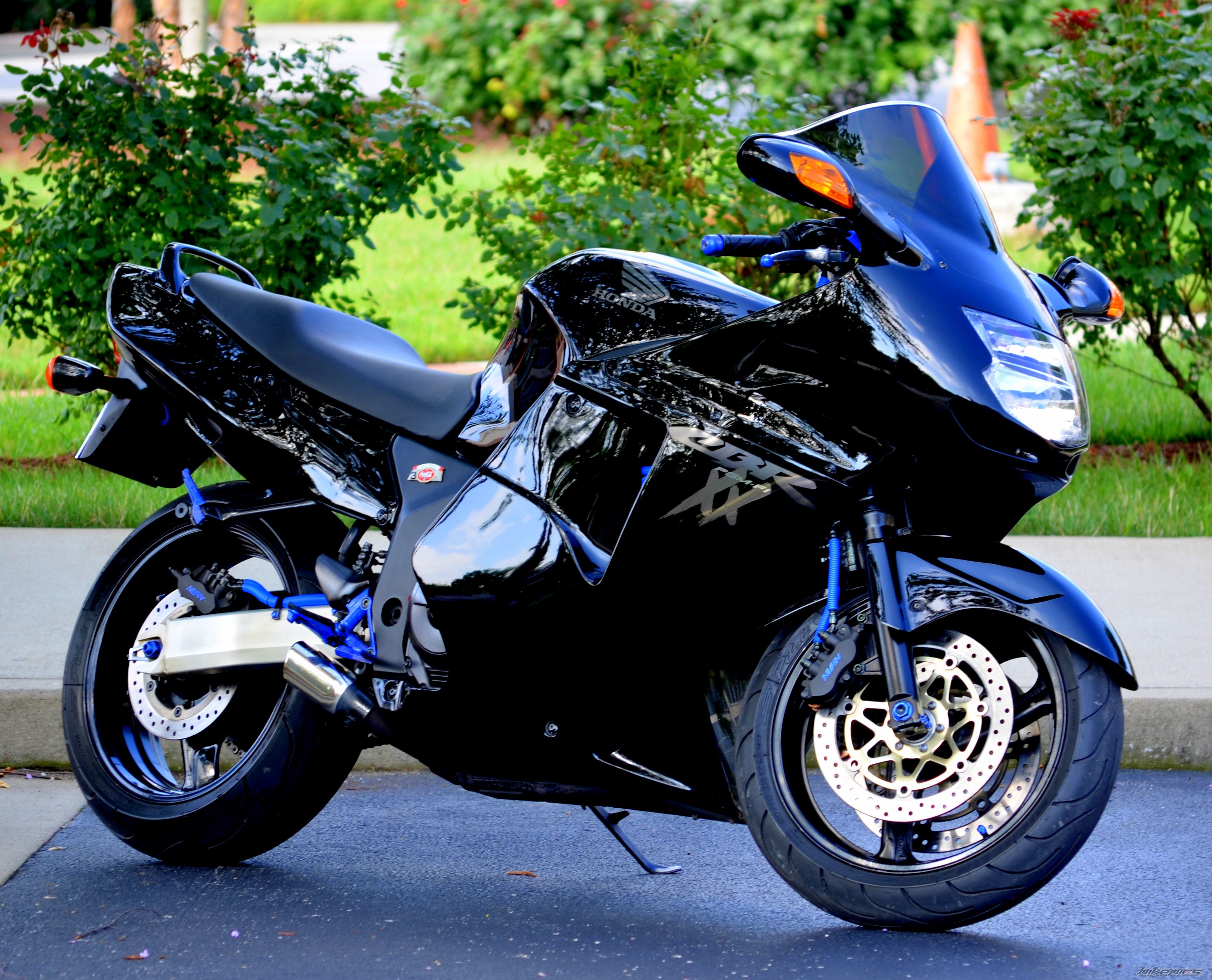 Photo 2256858