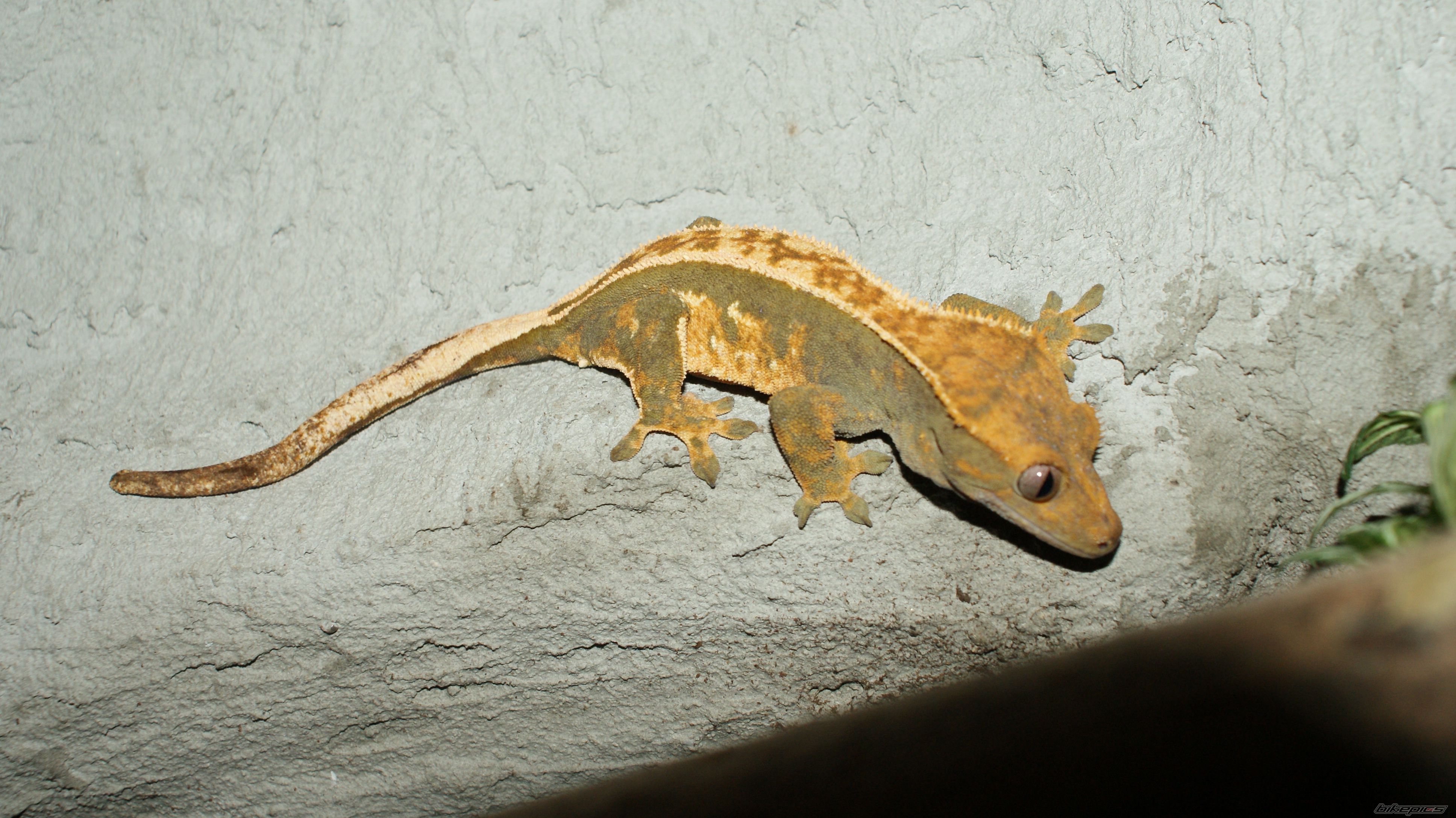 Photo 2256911