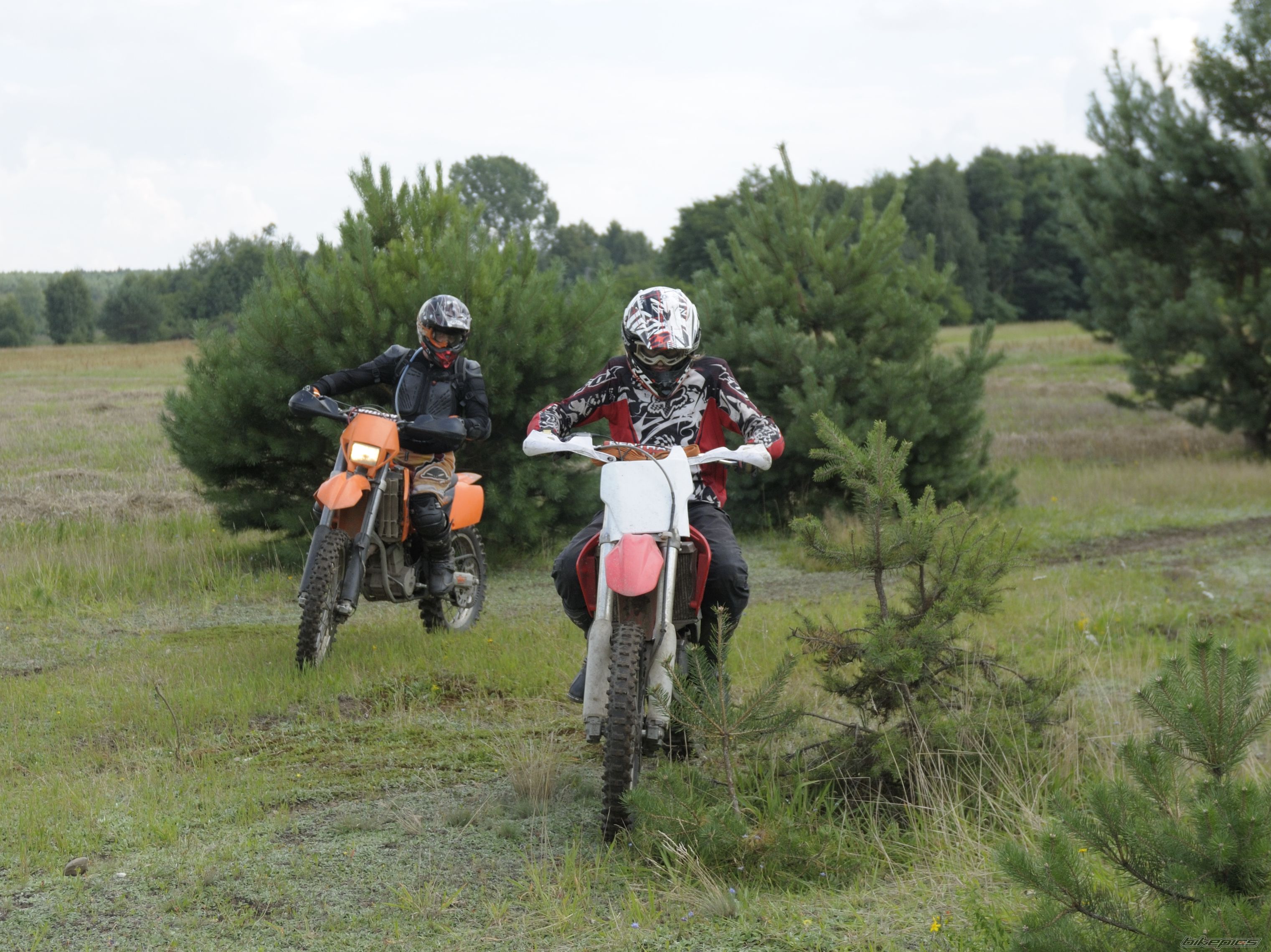 Photo 2256928
