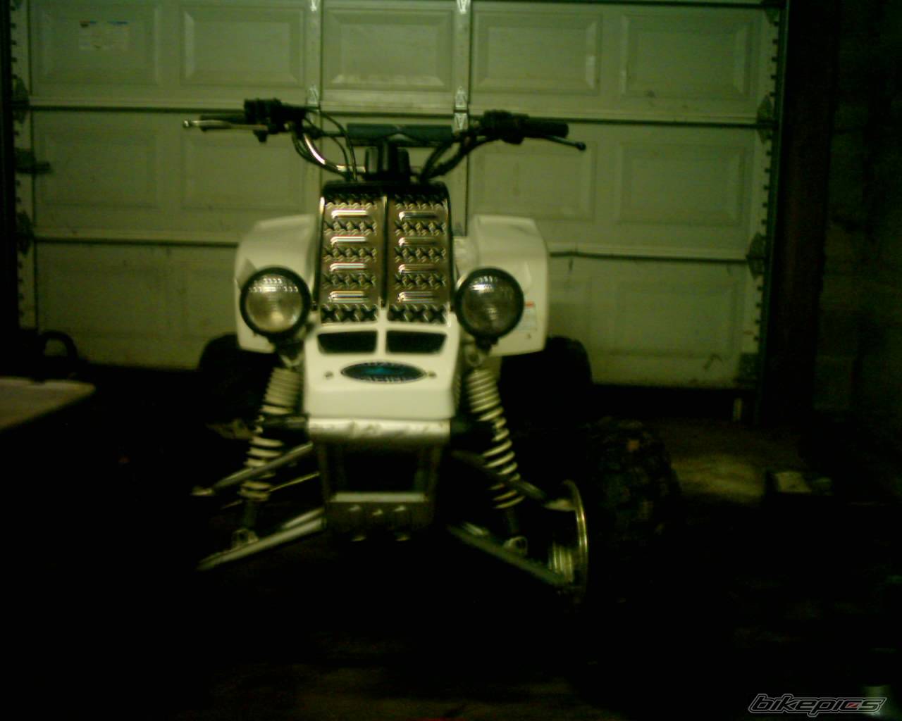 Photo 225696