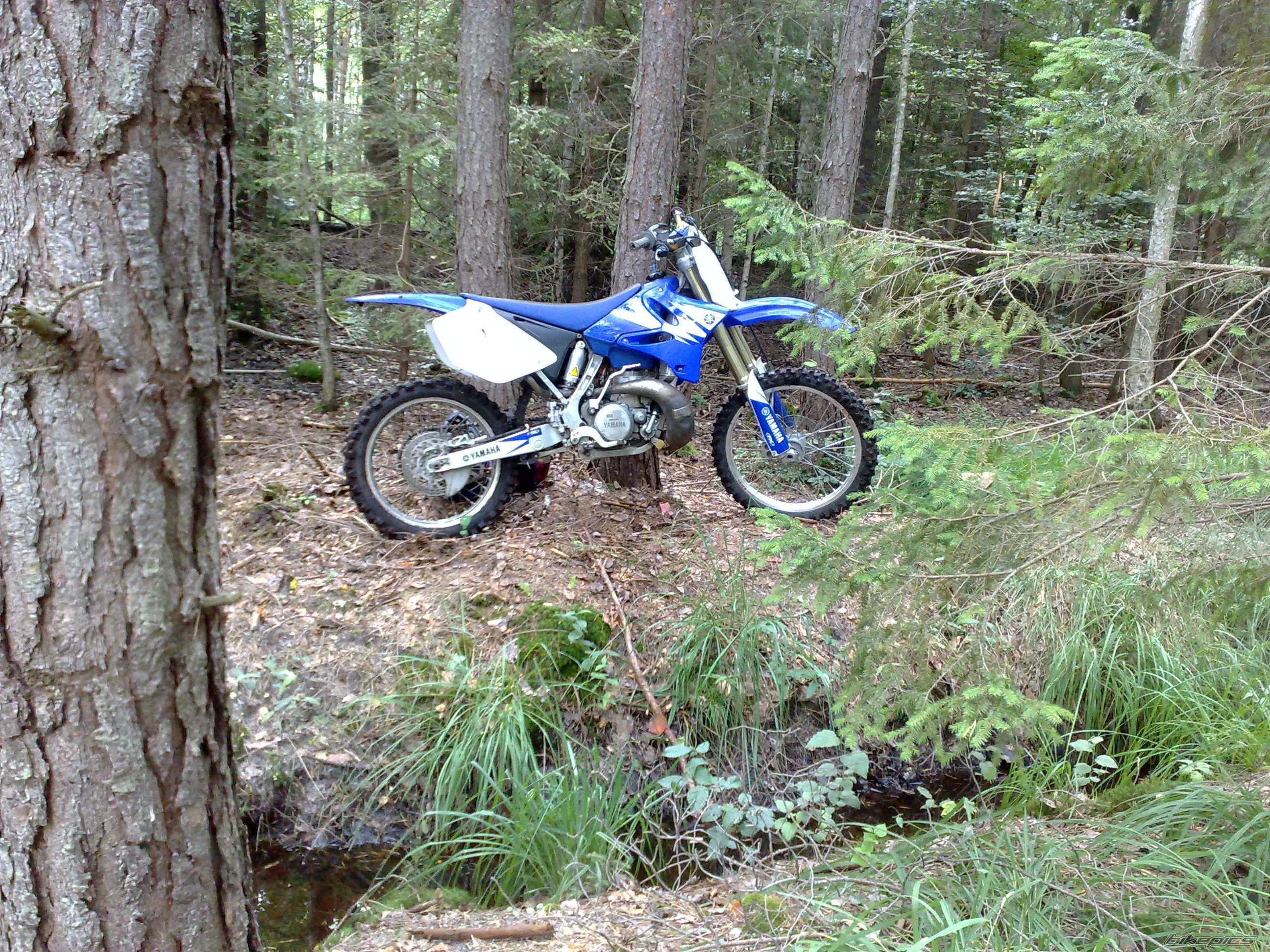 Photo 2257038