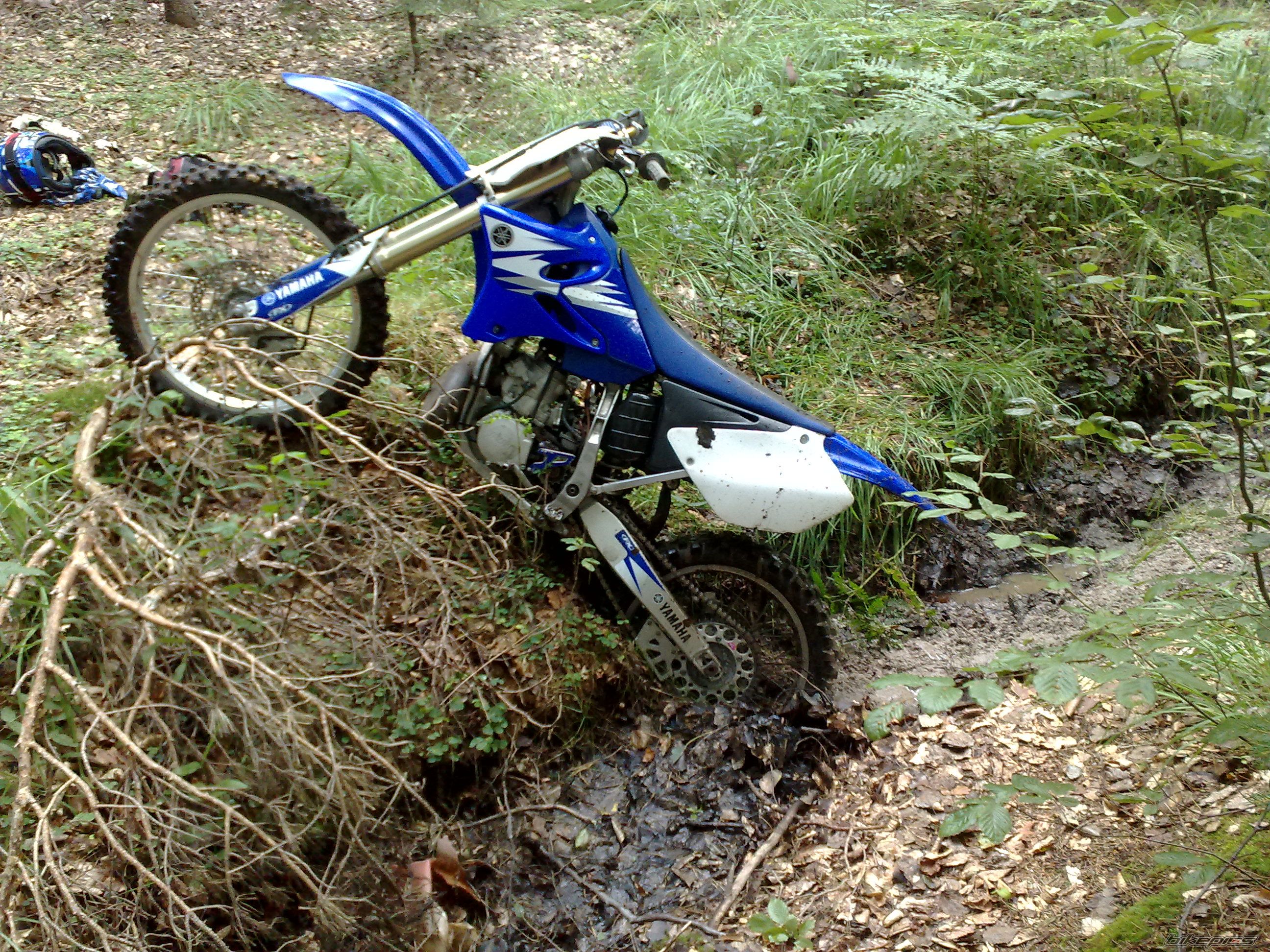 Photo 2257039