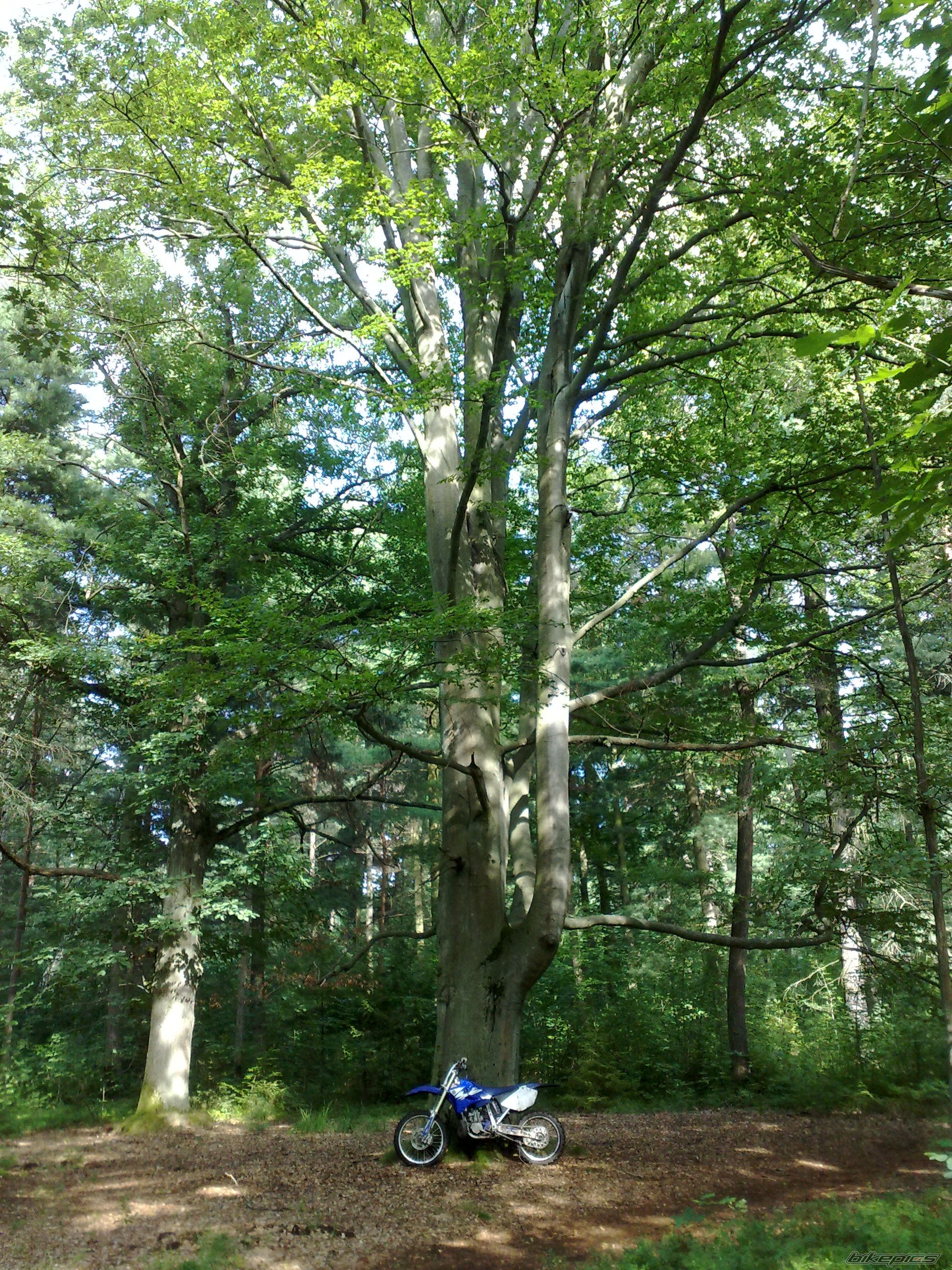Photo 2257041