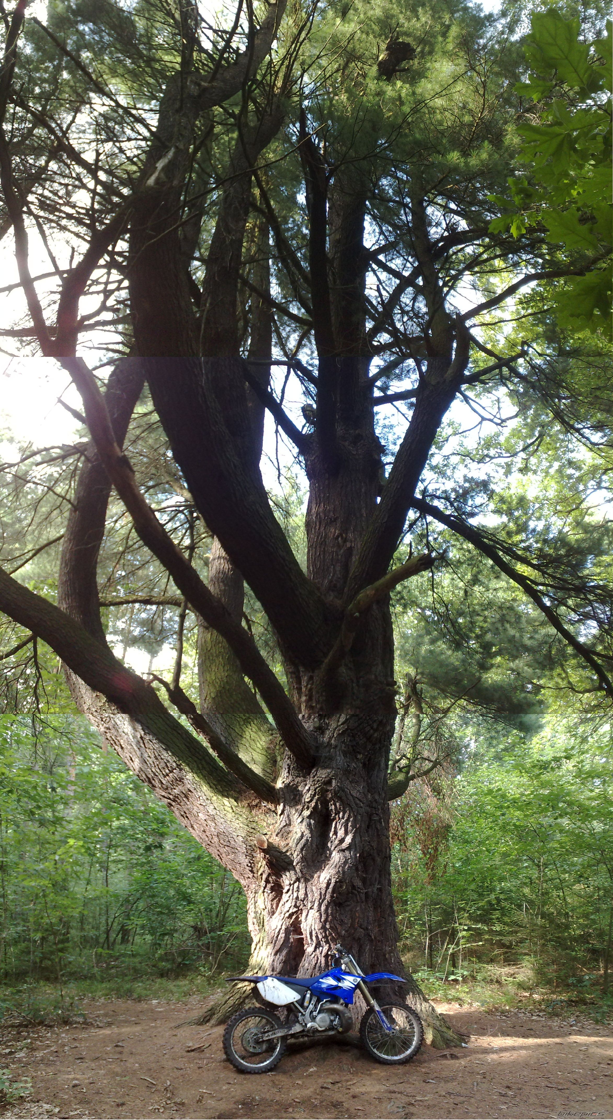Photo 2257042