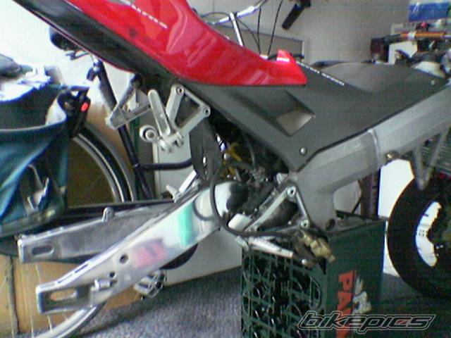 Photo 225706