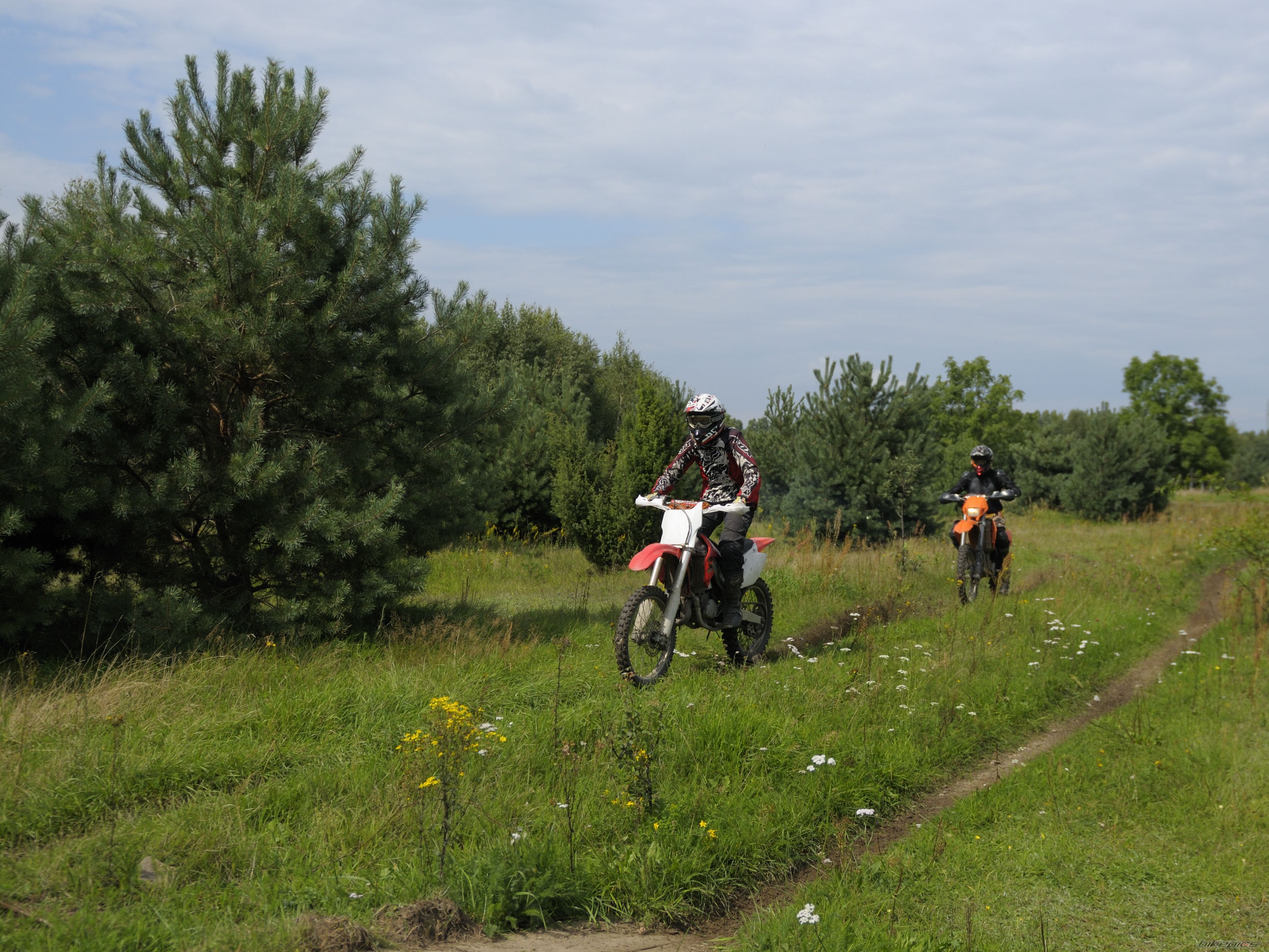 Photo 2257088