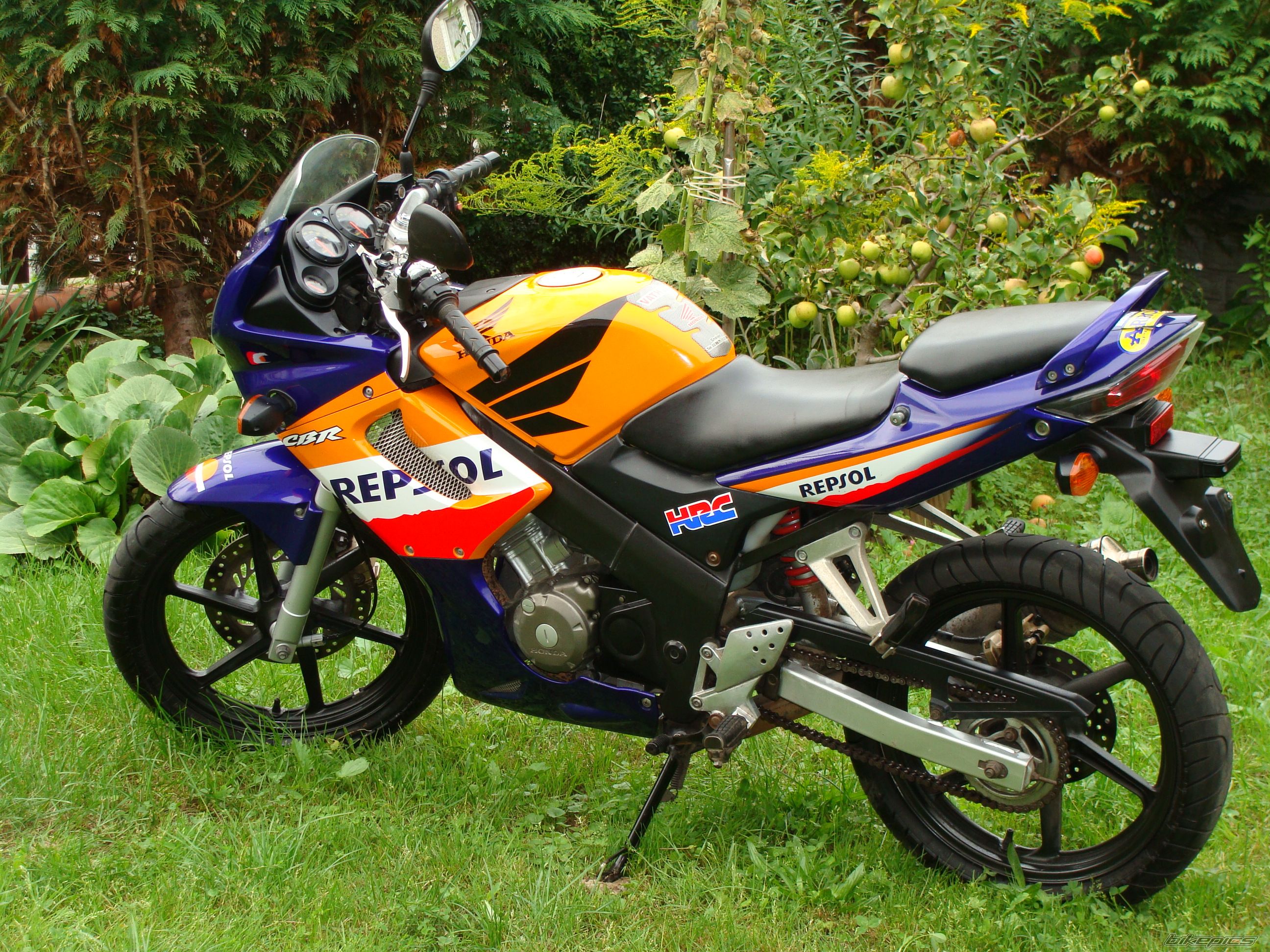Photo 2257178