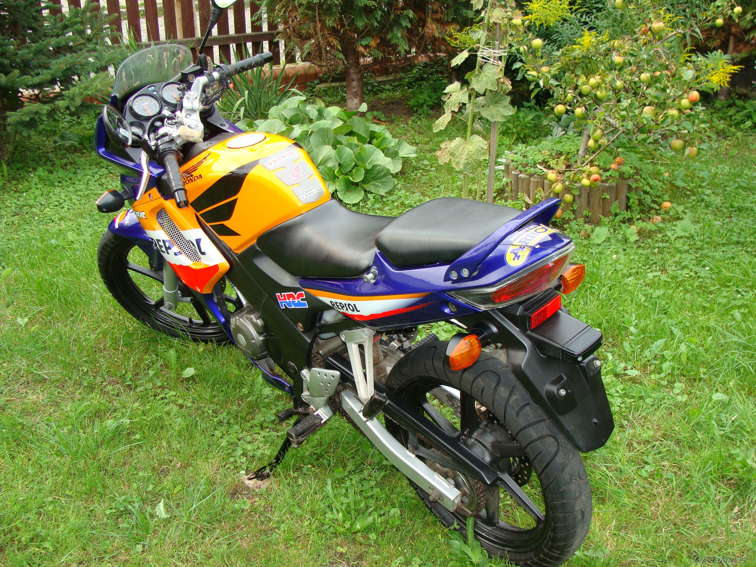 Photo 2257182