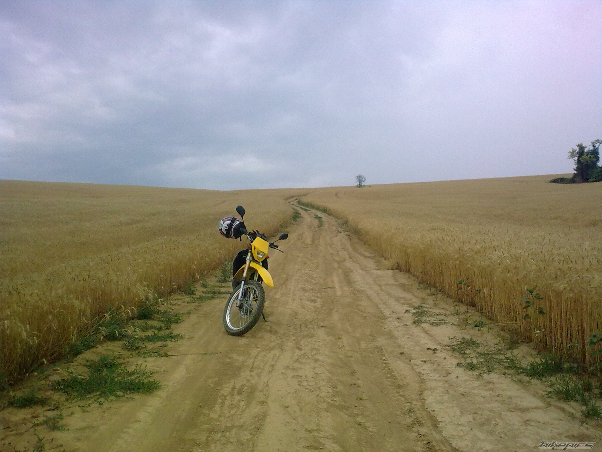 Photo 2257195