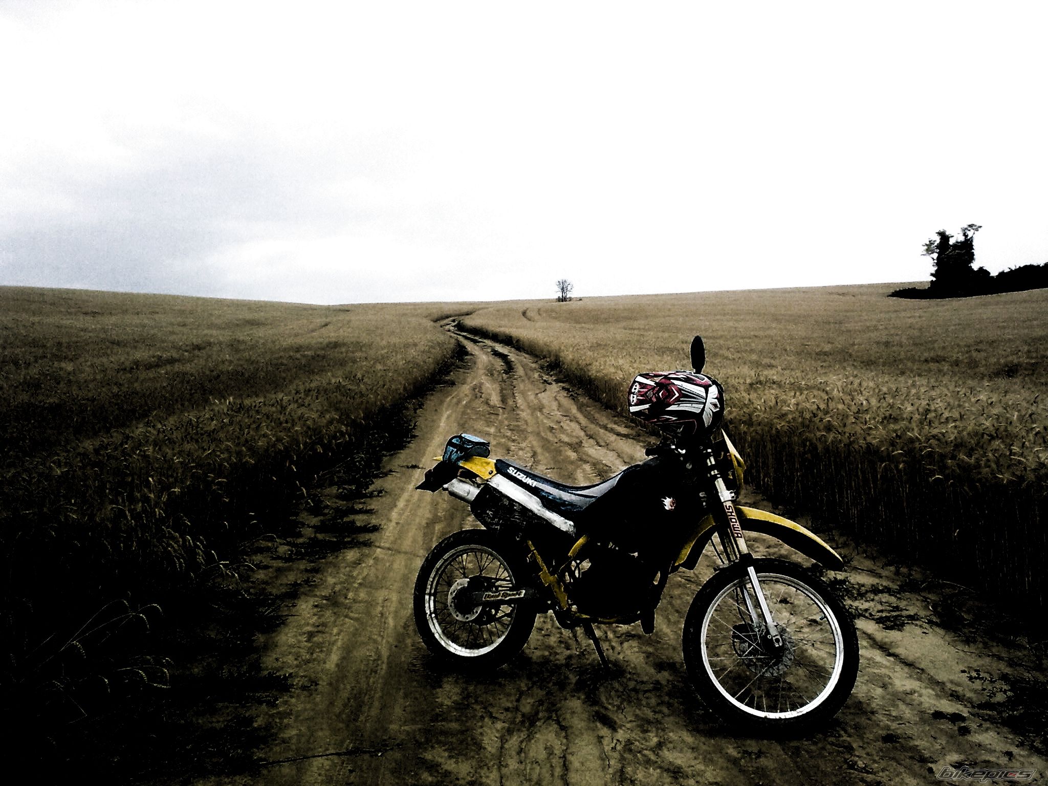 Bike Photo 2257200