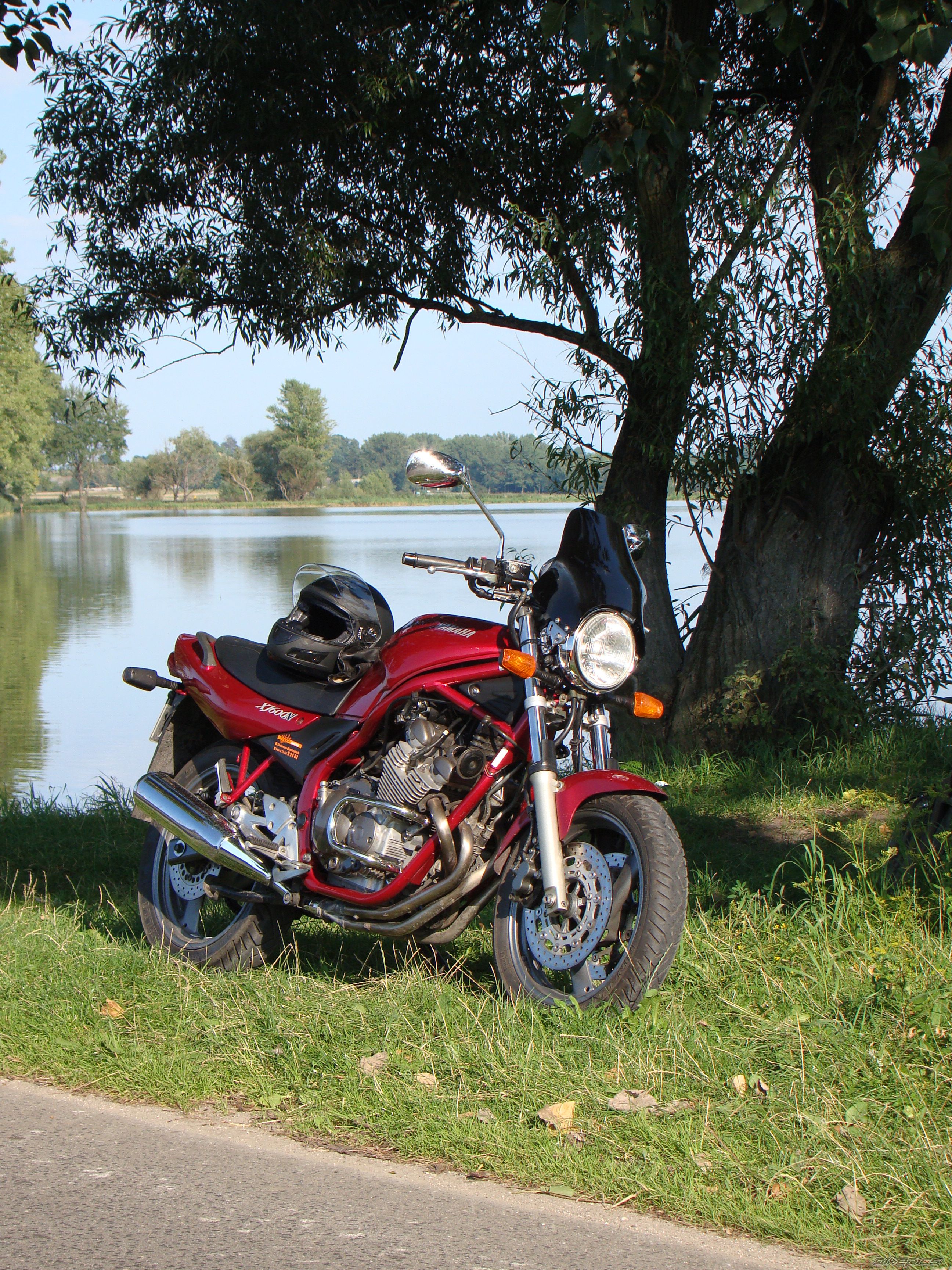 Photo 2257251