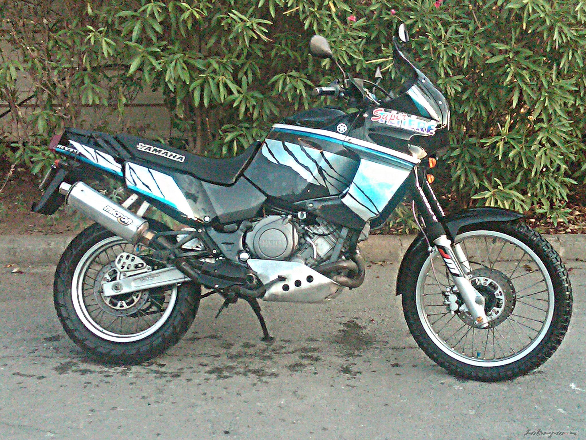 Photo 2257403