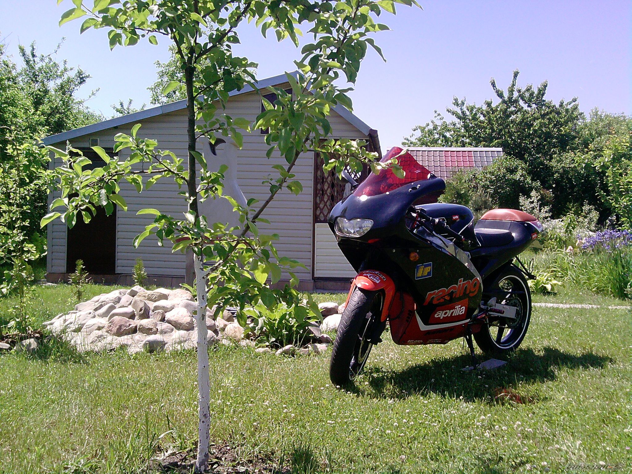 Photo 2257407