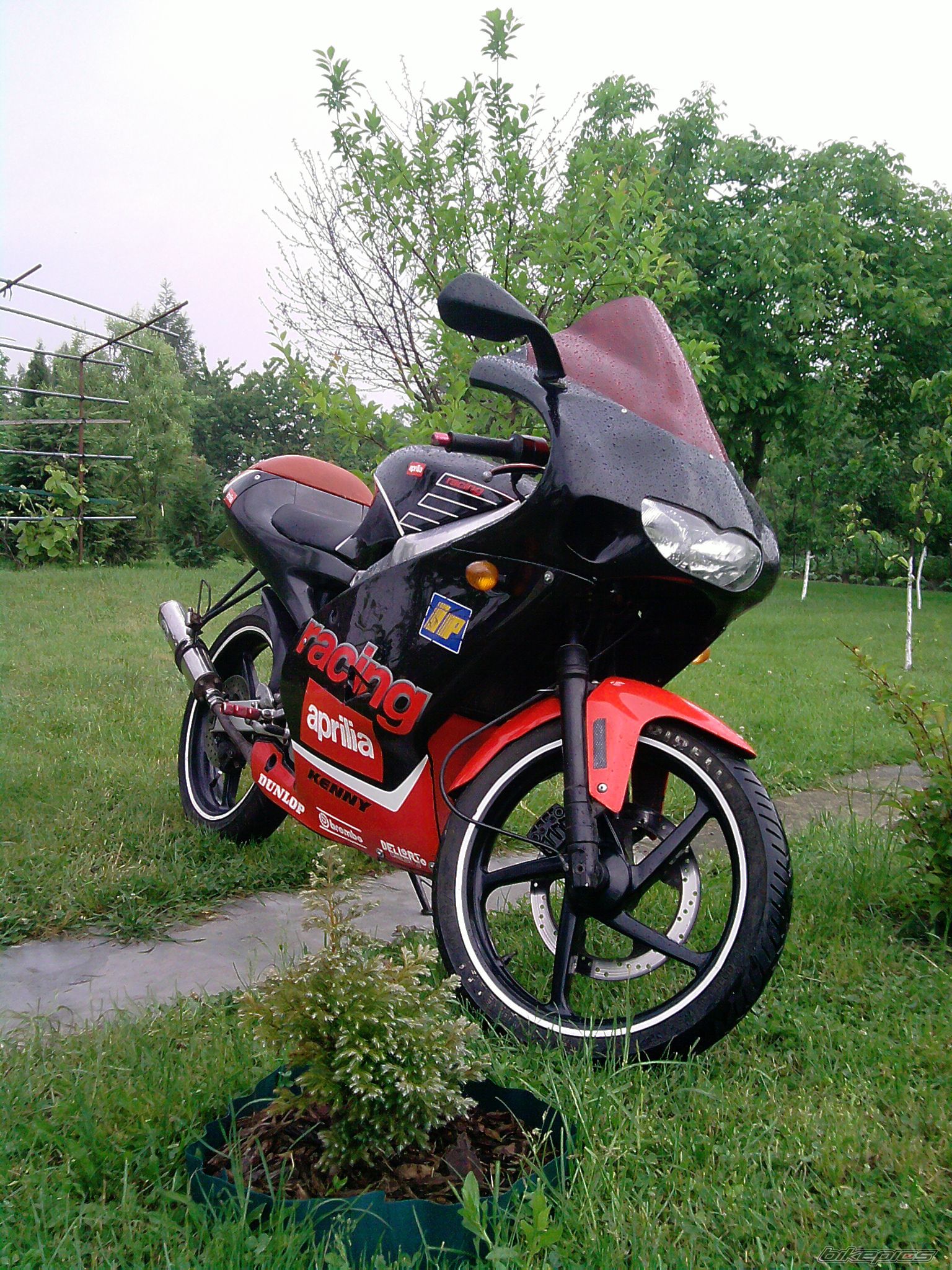 Photo 2257412