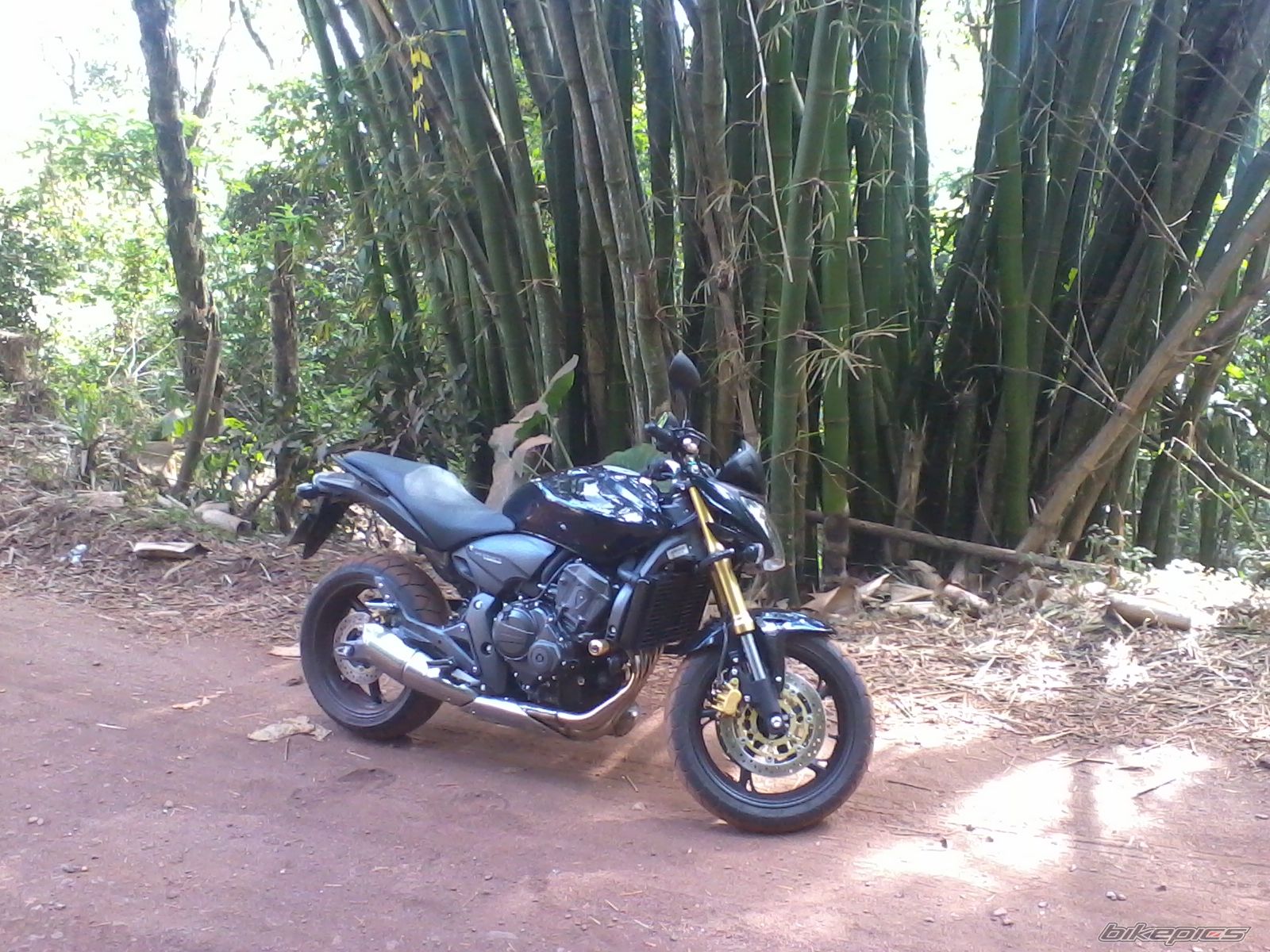 Bike Photo 2257431