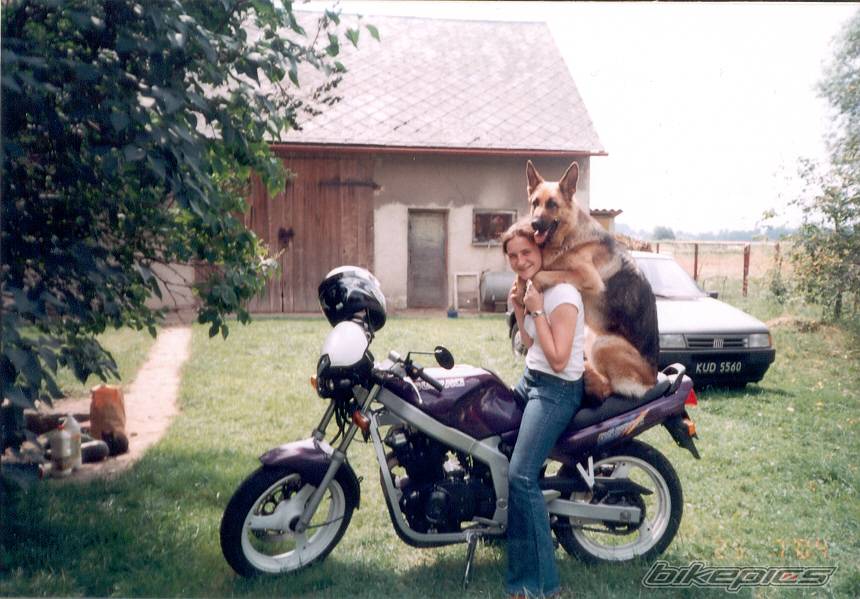 Bike Photo 225754