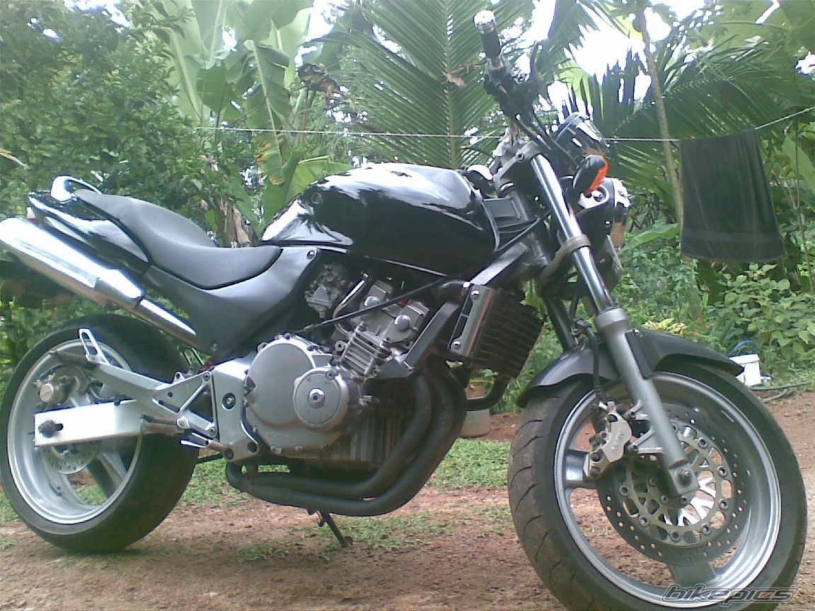 Photo 2257594