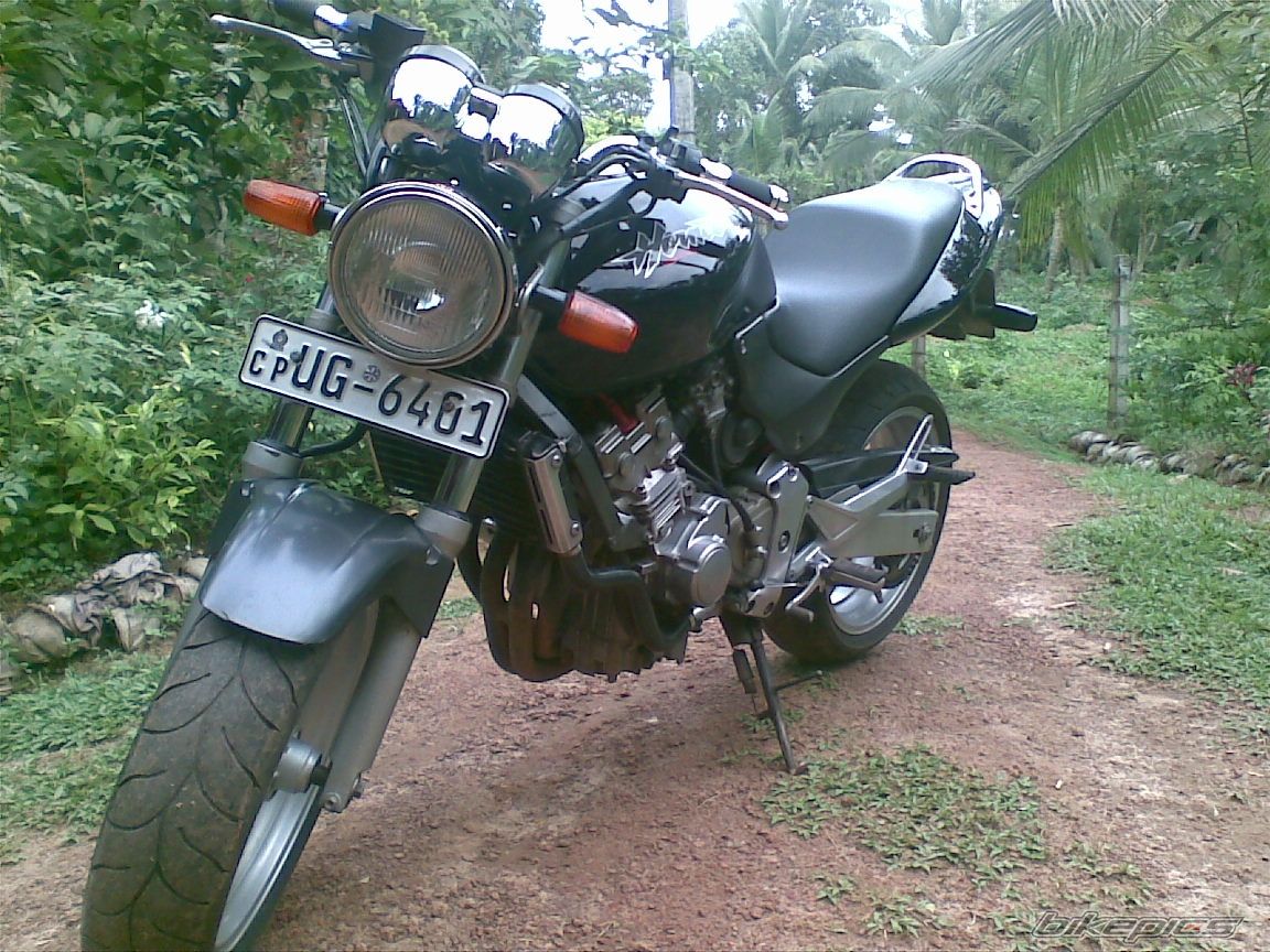 Photo 2257597
