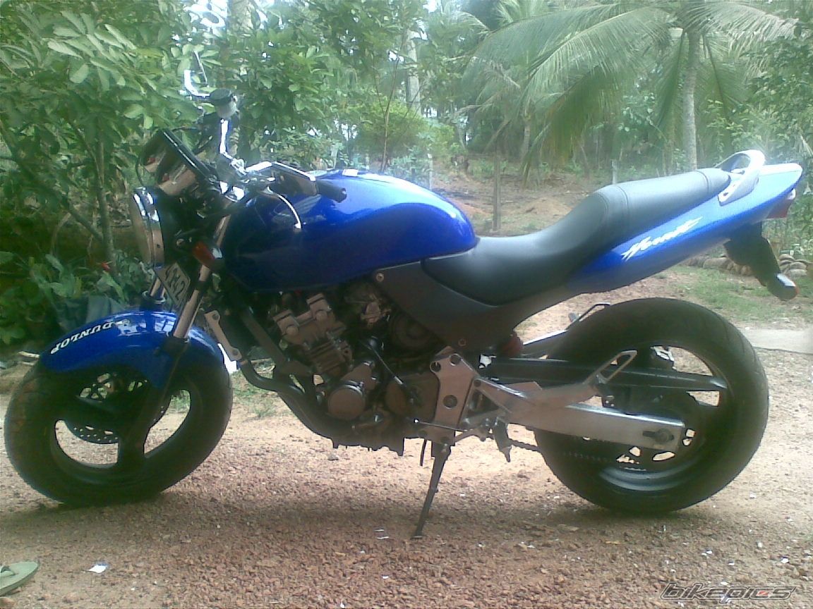 Photo 2257599