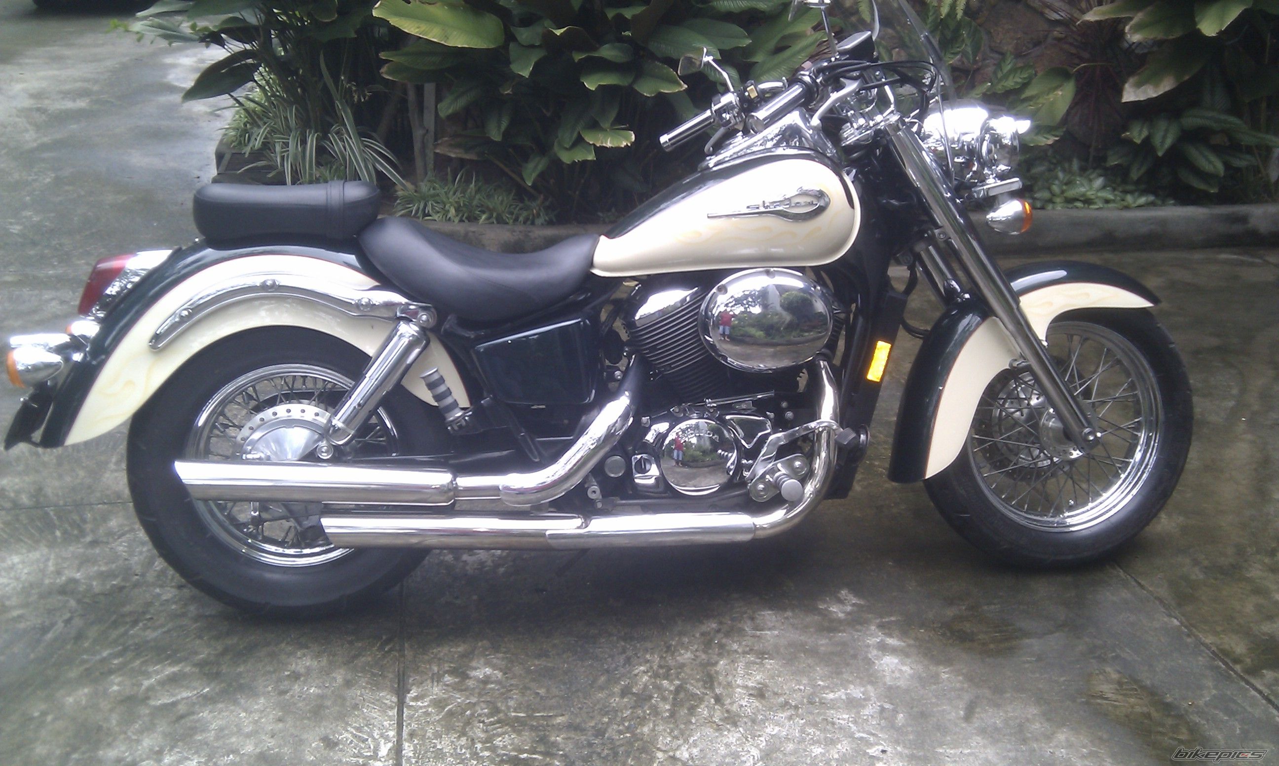 Photo 2257608