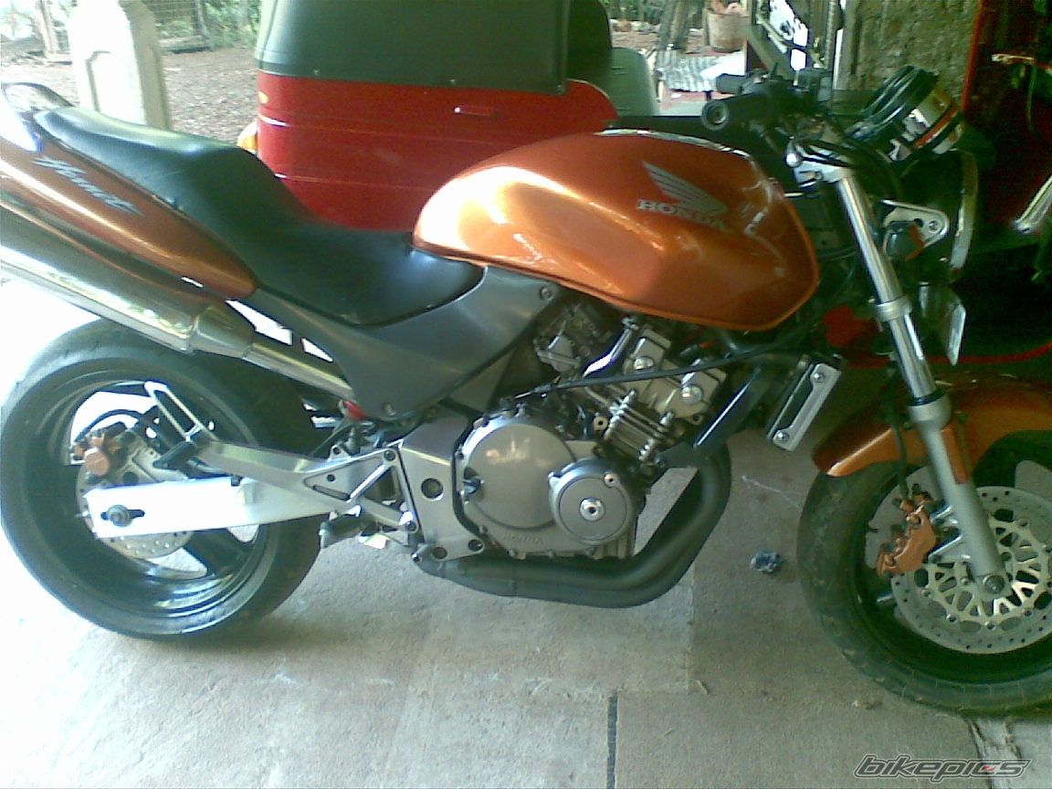 Photo 2257615