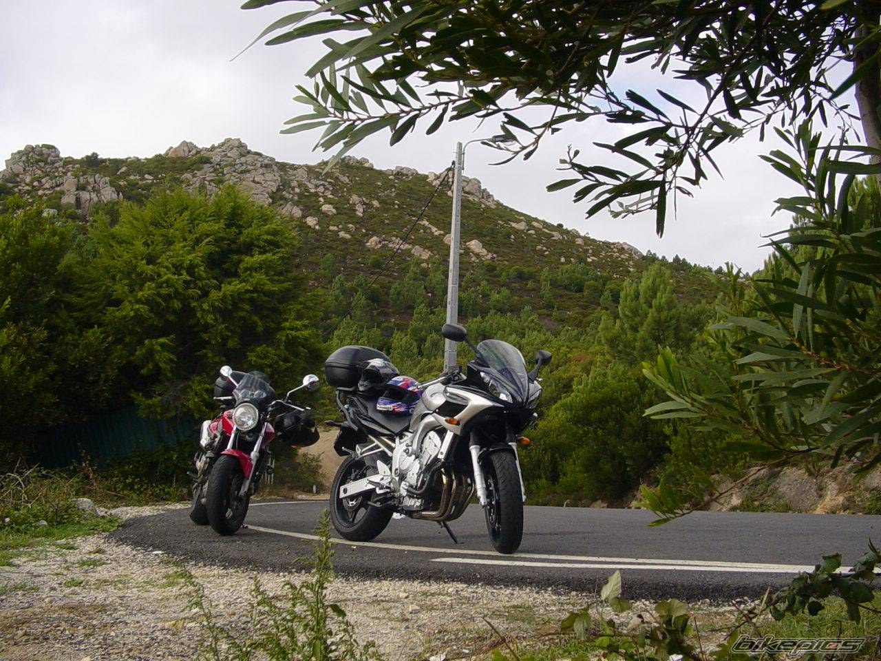 Bike Photo 225762