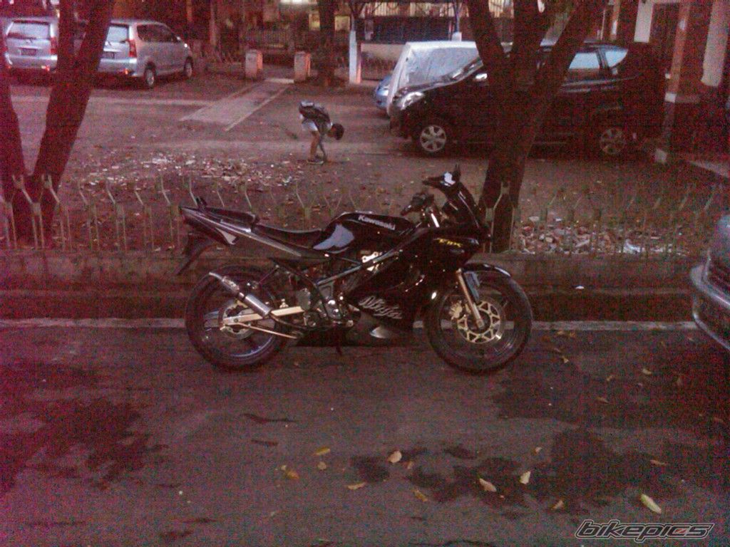 Photo 2257641