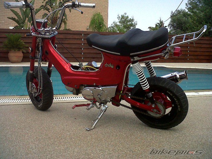 Photo 2257720