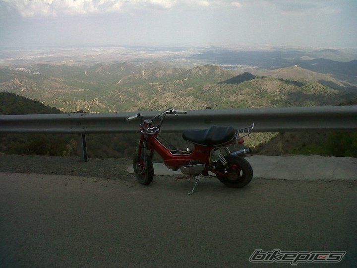 Photo 2257721