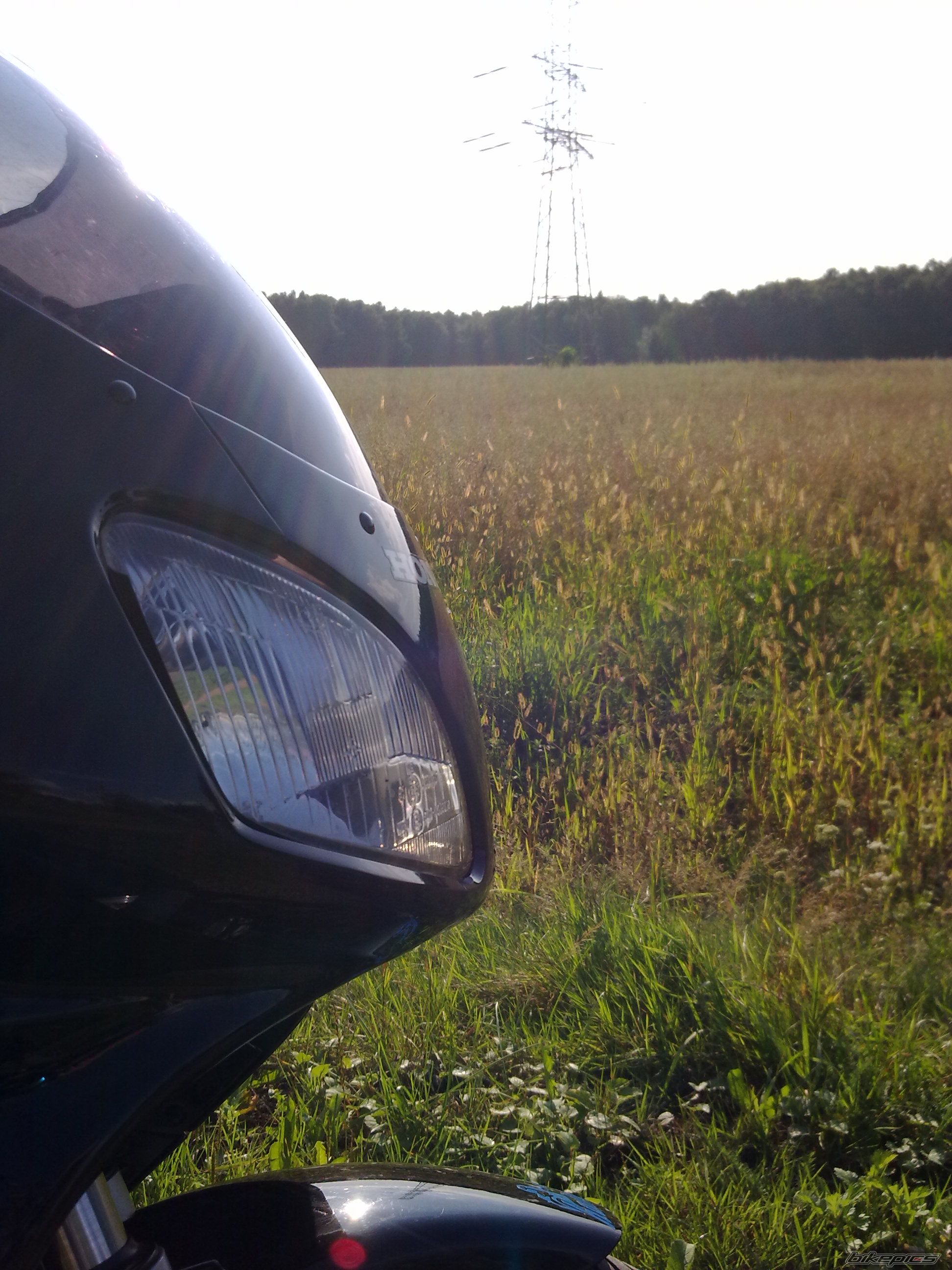 Photo 2257748
