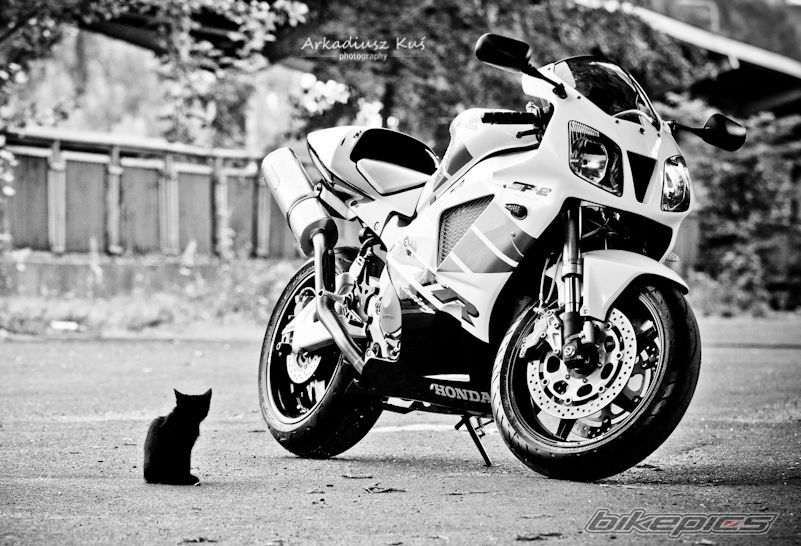 Bike Photo 2257841