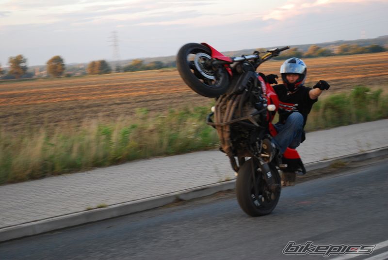 Photo 2257867
