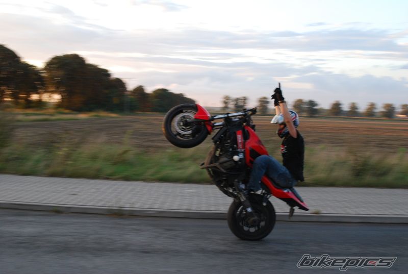 Photo 2257868