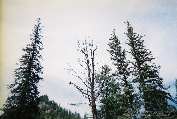 Photo 2257881