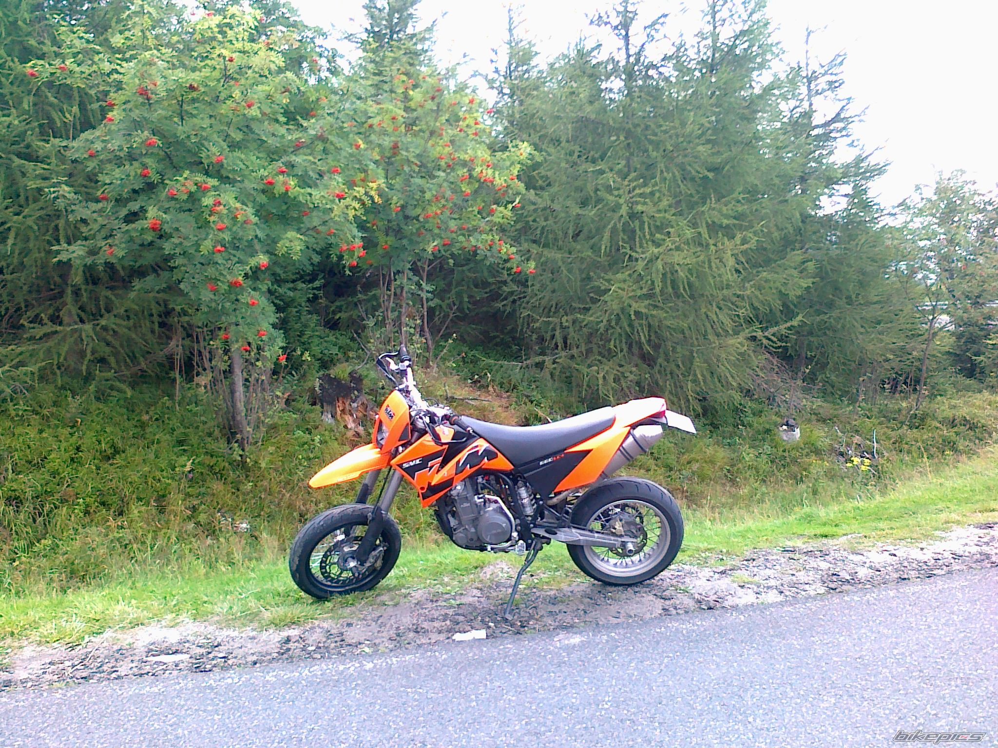 Photo 2258070