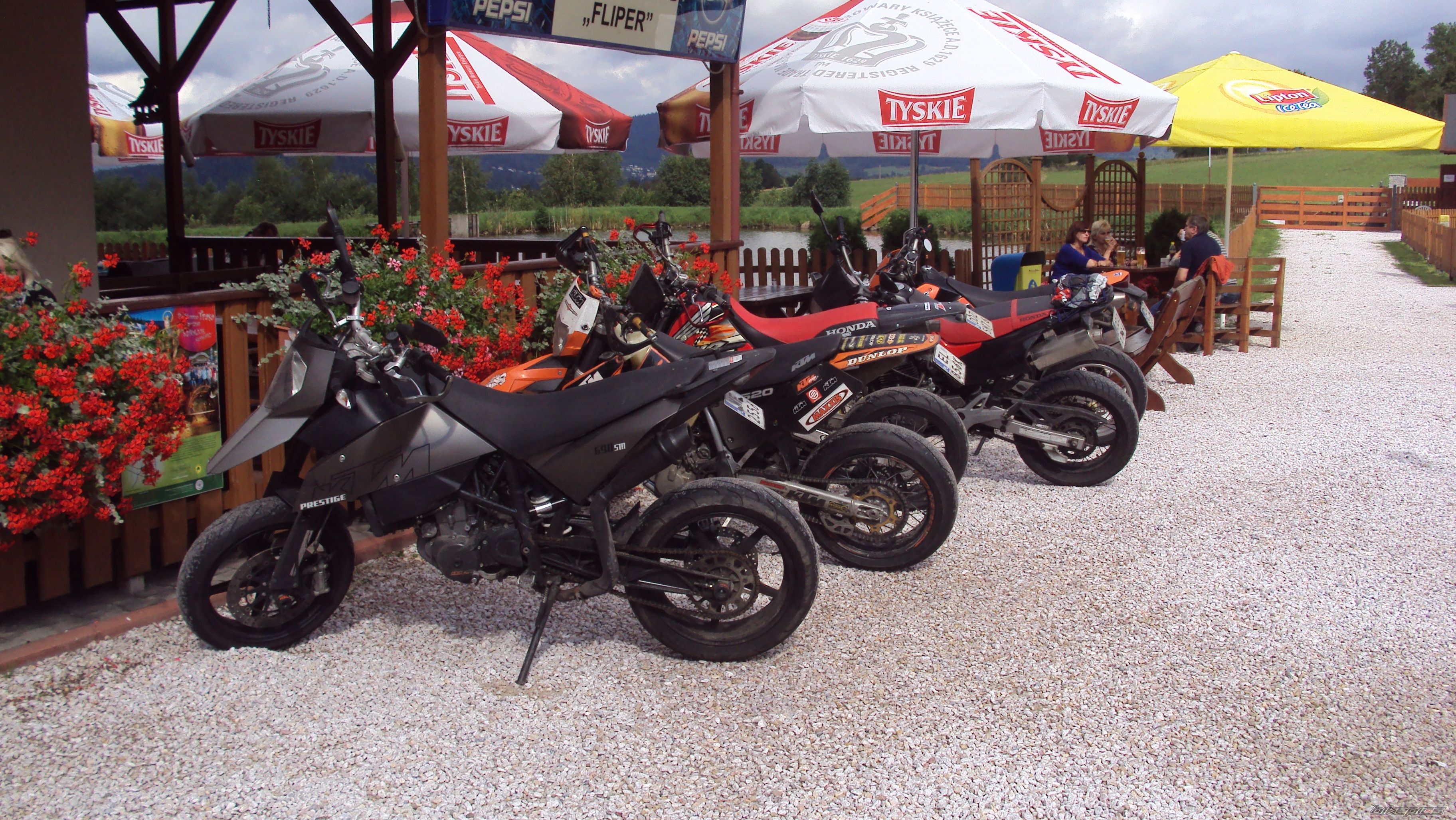 Photo 2258137
