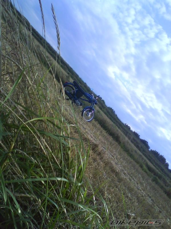 Photo 2258147
