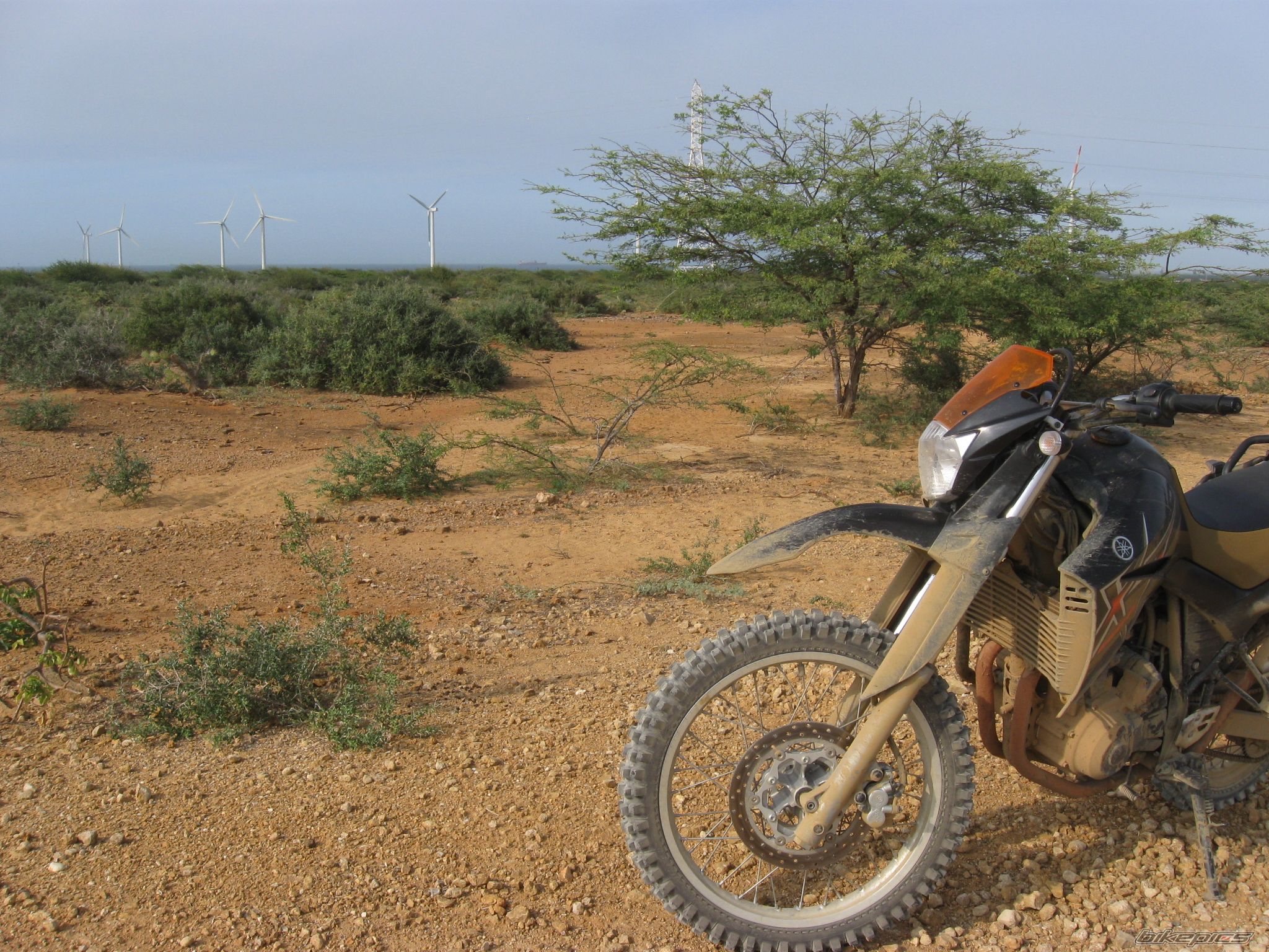 Bike Photo 2258219